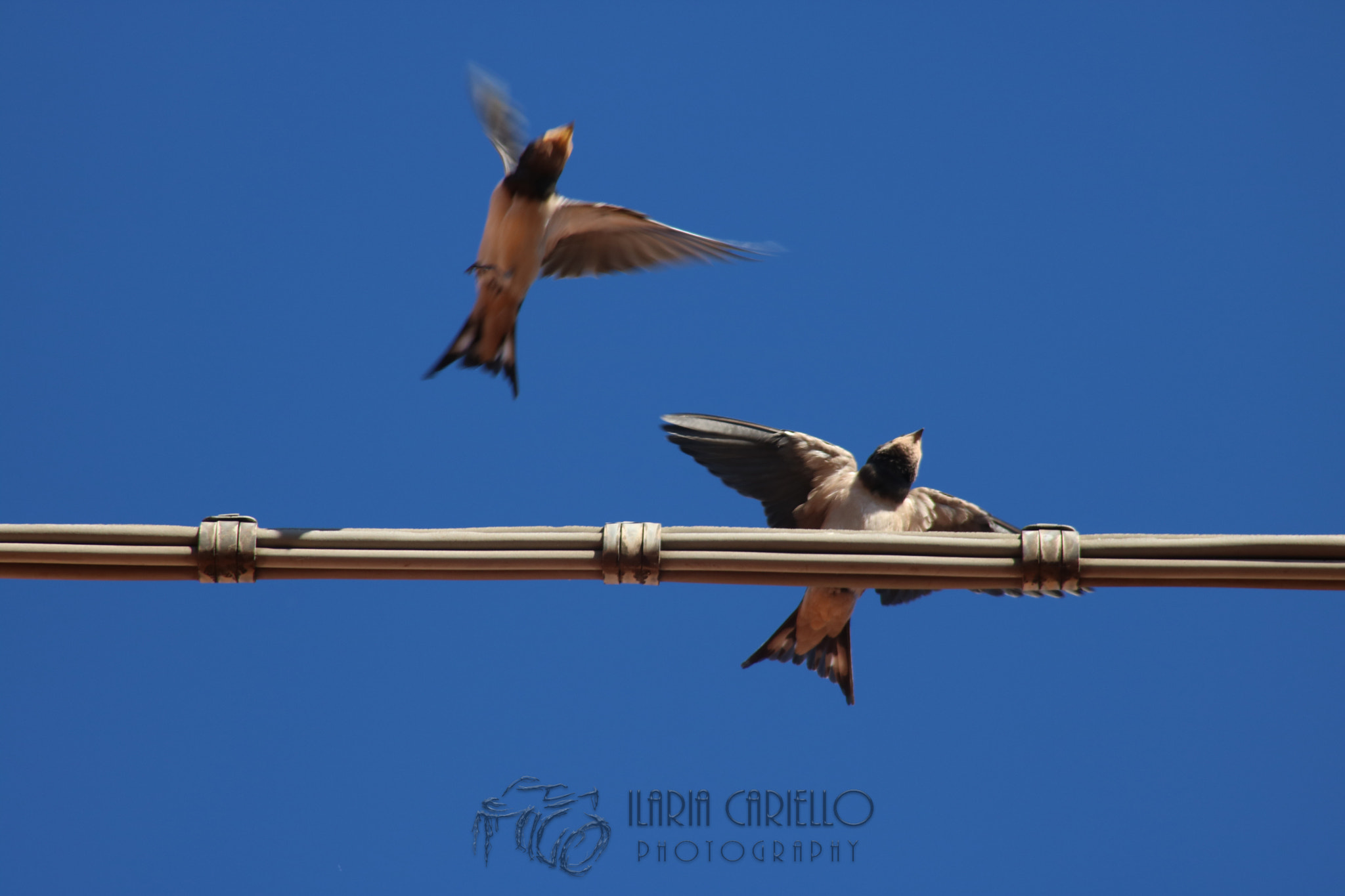 Canon EF 28-200mm F3.5-5.6 USM sample photo. Flying lessons. photography