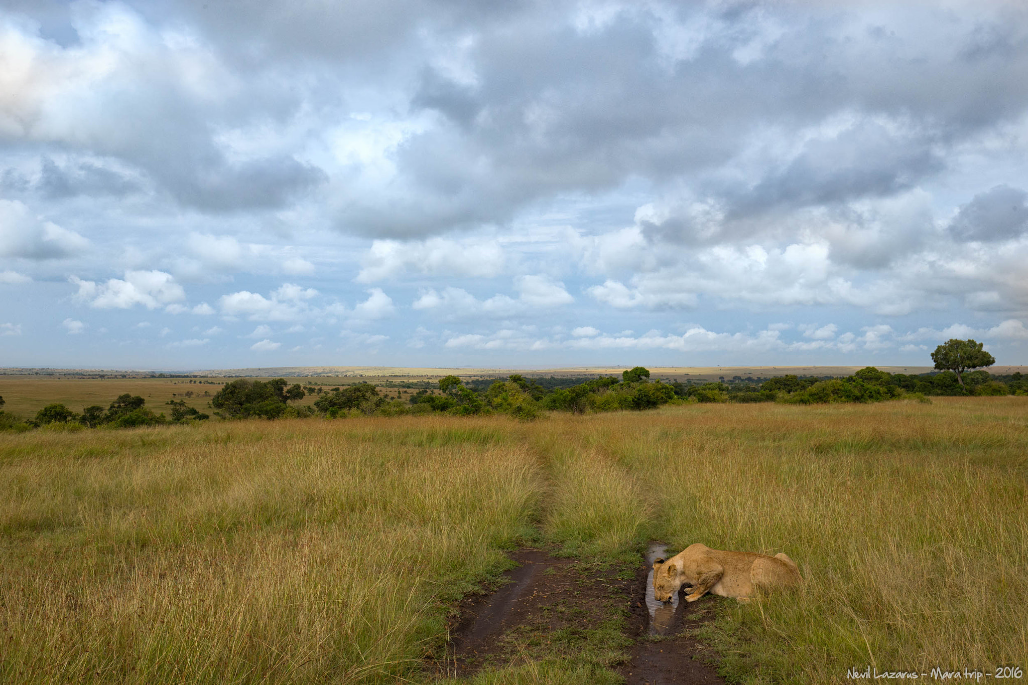 Canon EOS-1D X + Canon EF 16-35mm F4L IS USM sample photo. Mara spectacular scenery photography