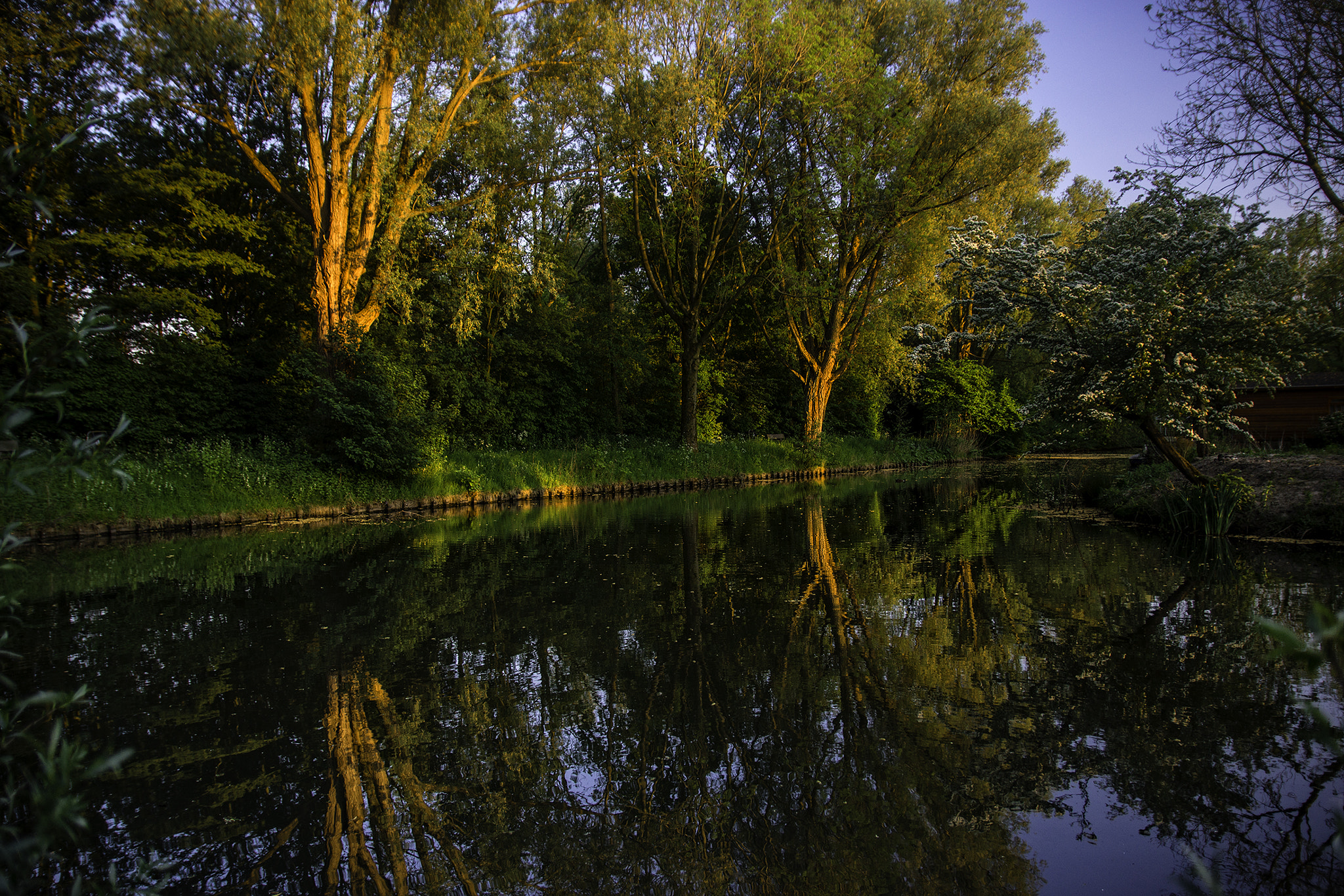 Sony SLT-A65 (SLT-A65V) + 17-50mm F2.8 sample photo. Voorveldse polder photography