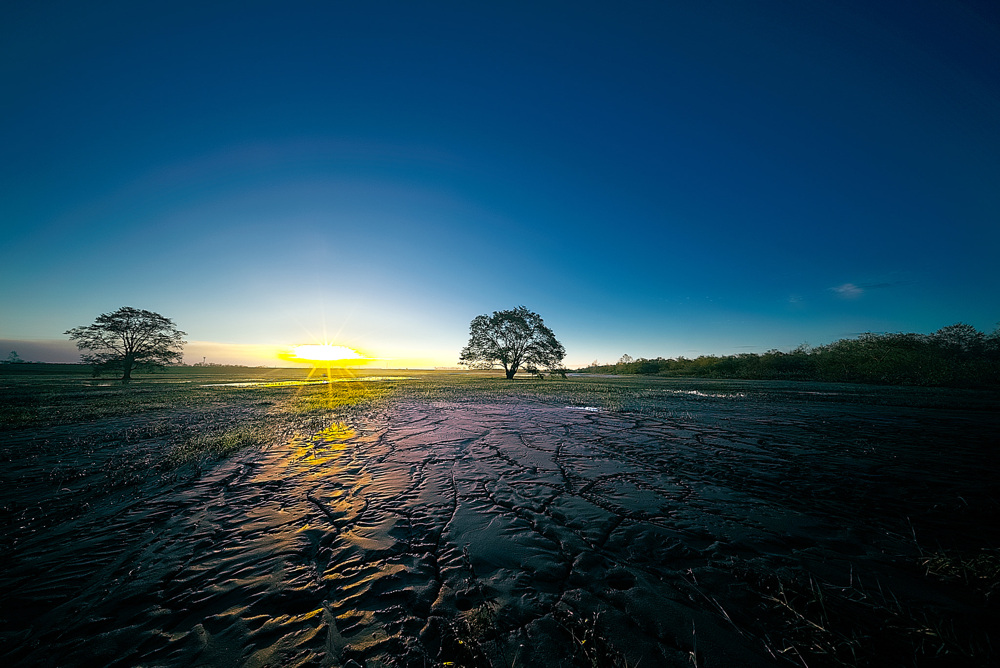 E 10mm F5.6 sample photo. I surrender,too photography