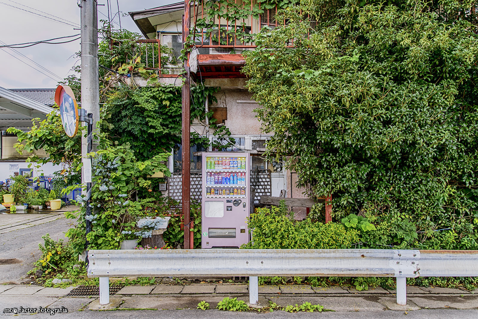 Nikon D800 + Sigma 24-105mm F4 DG OS HSM Art sample photo. Overgrown vines around a vending machine photography