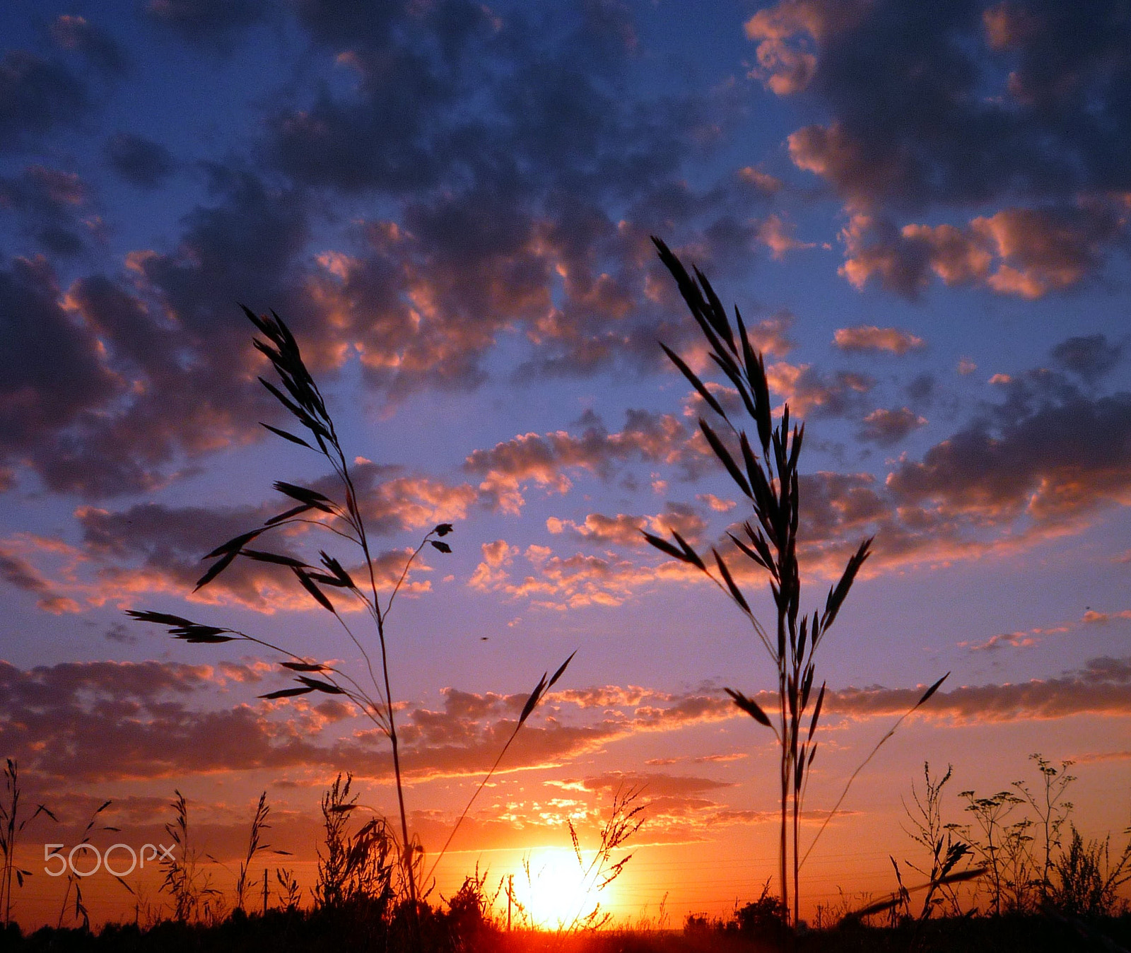 Panasonic DMC-FS5 sample photo. закат photography