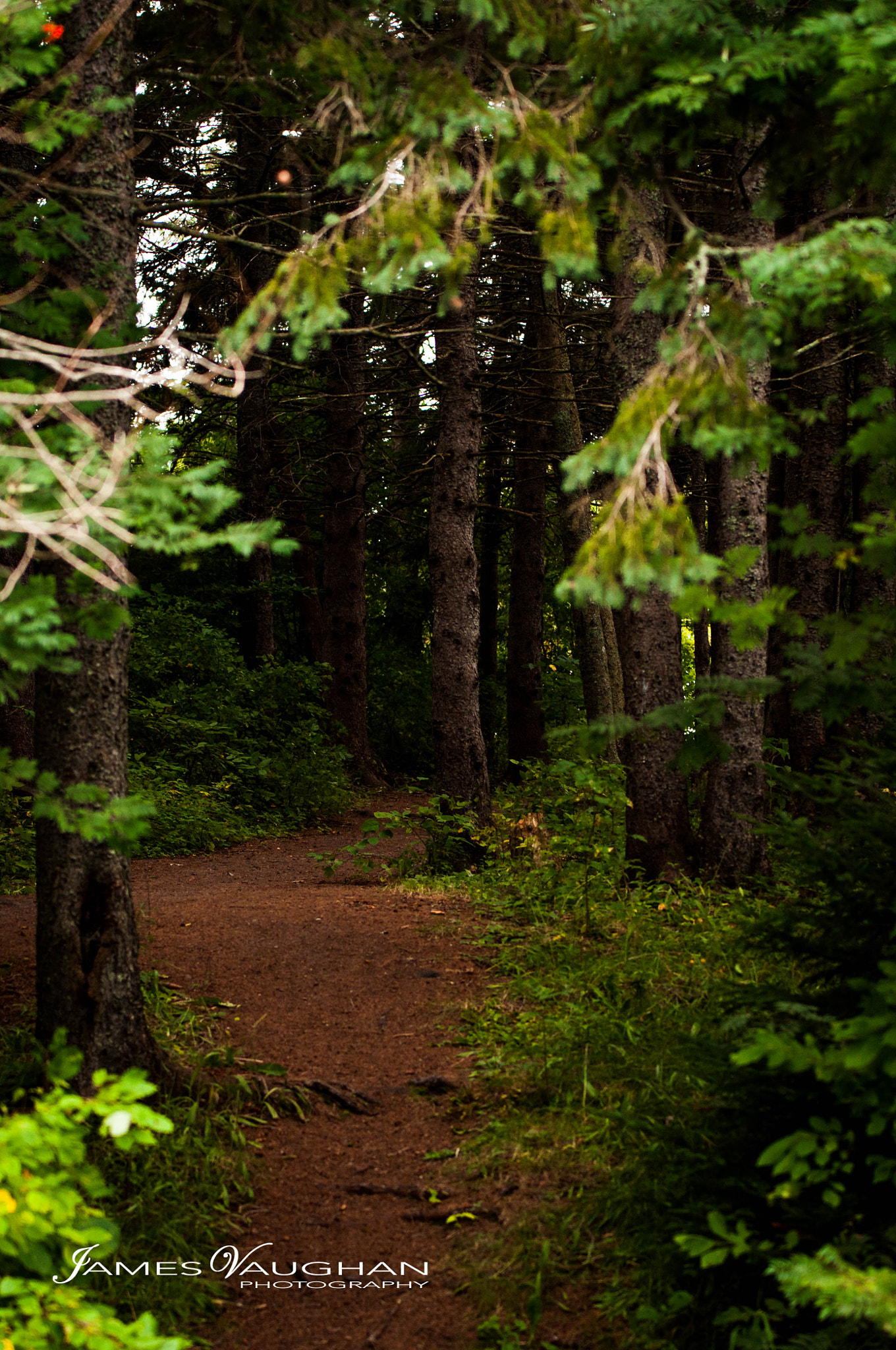Sigma 70-200mm F2.8 EX DG OS HSM sample photo. Trail less traveled photography