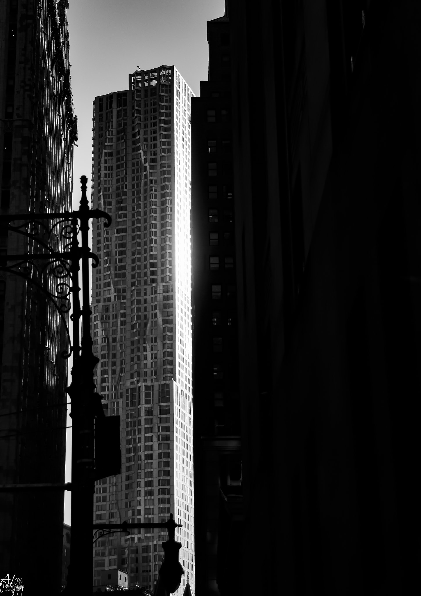 Nikon AF-S Nikkor 24-120mm F4G ED VR sample photo. Mostra photography