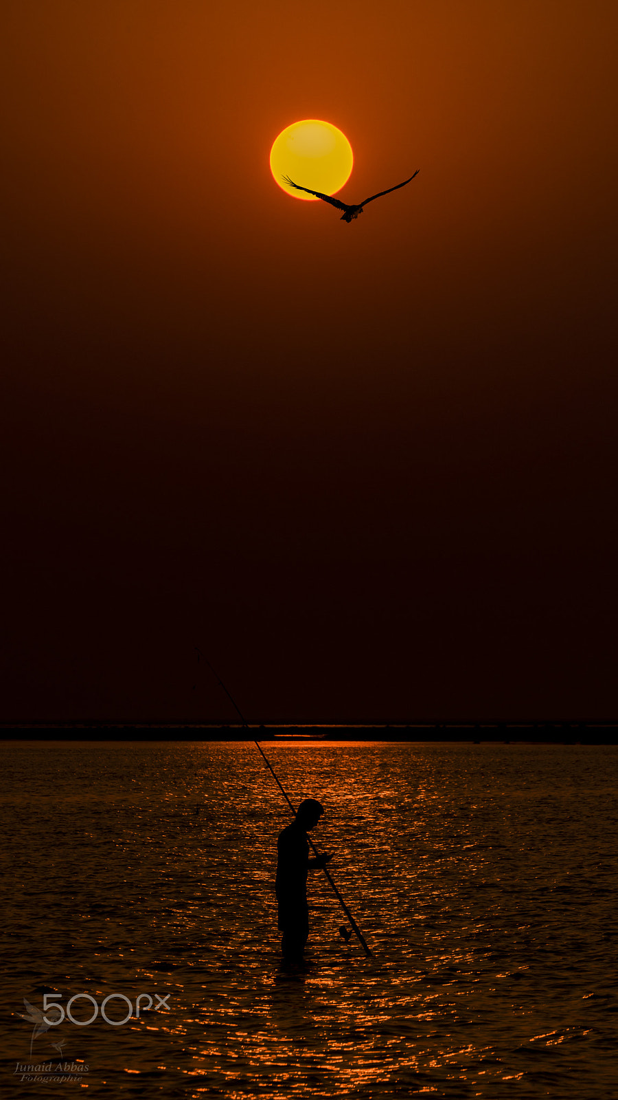 Sigma 50-500mm F4.5-6.3 DG OS HSM sample photo. Standing alone photography