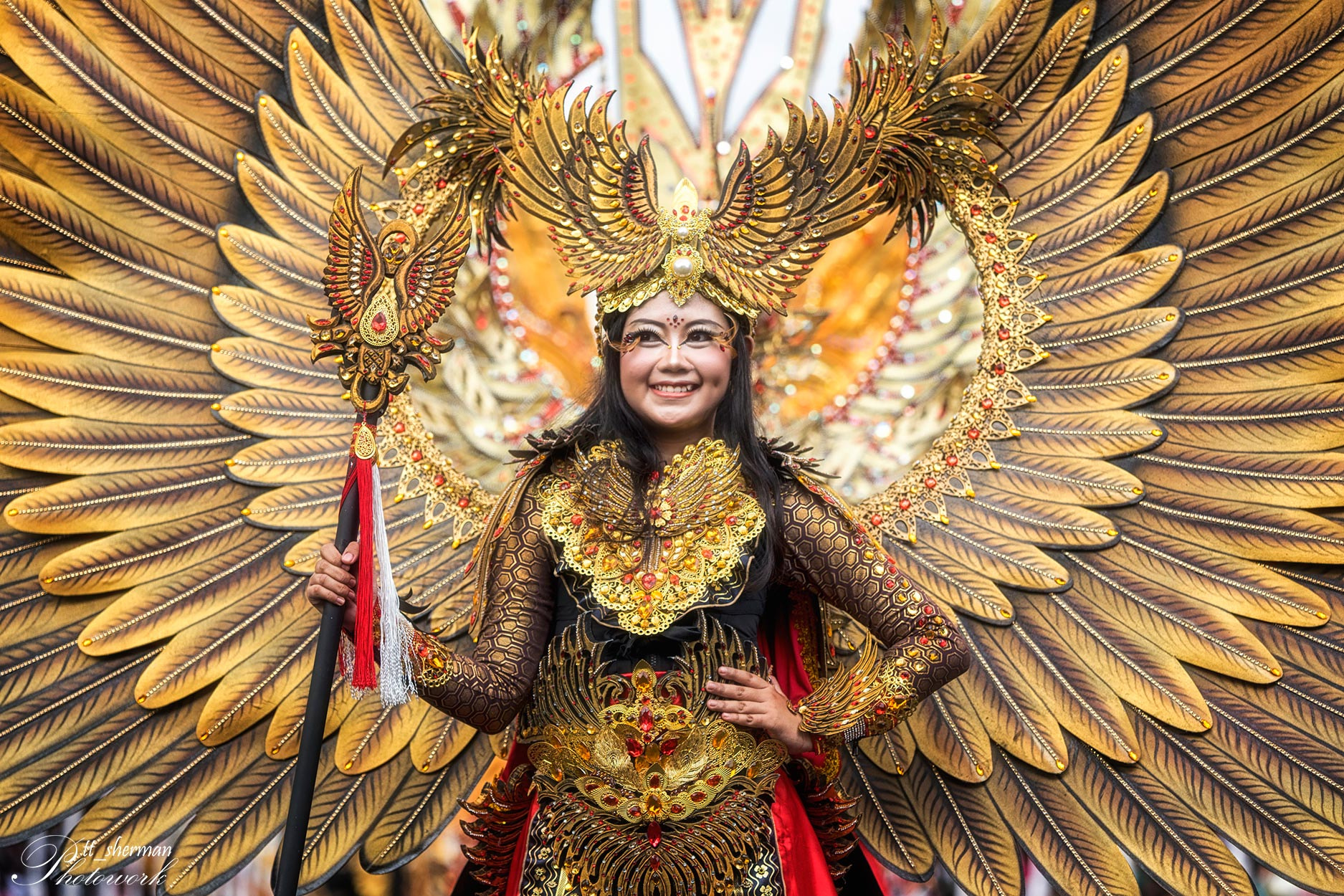 Minolta/Sony AF 70-200mm F2.8 G sample photo. Golden garuda photography