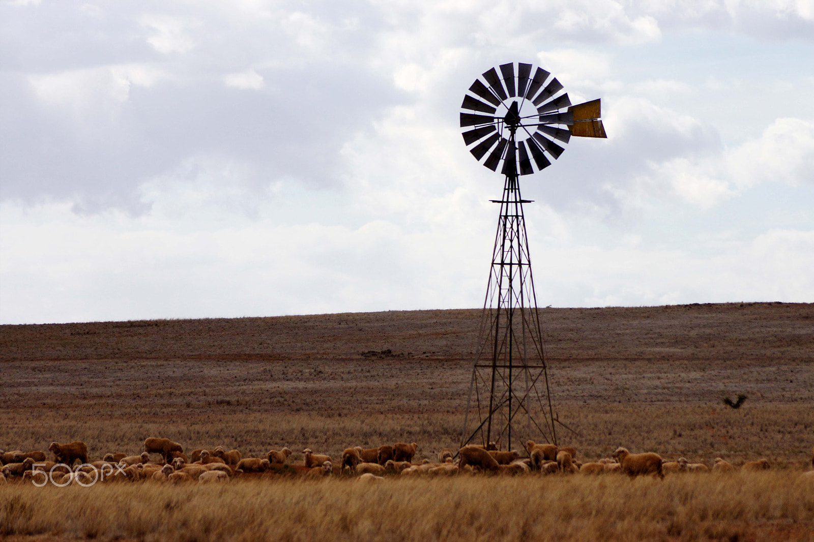 Sony SLT-A65 (SLT-A65V) + Sony DT 55-200mm F4-5.6 SAM sample photo. Windmill photography