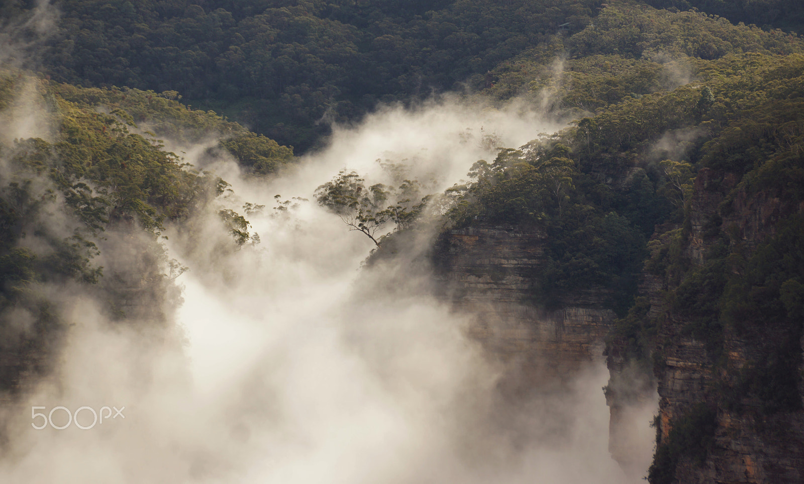 Sony SLT-A65 (SLT-A65V) sample photo. Wentworth falls photography