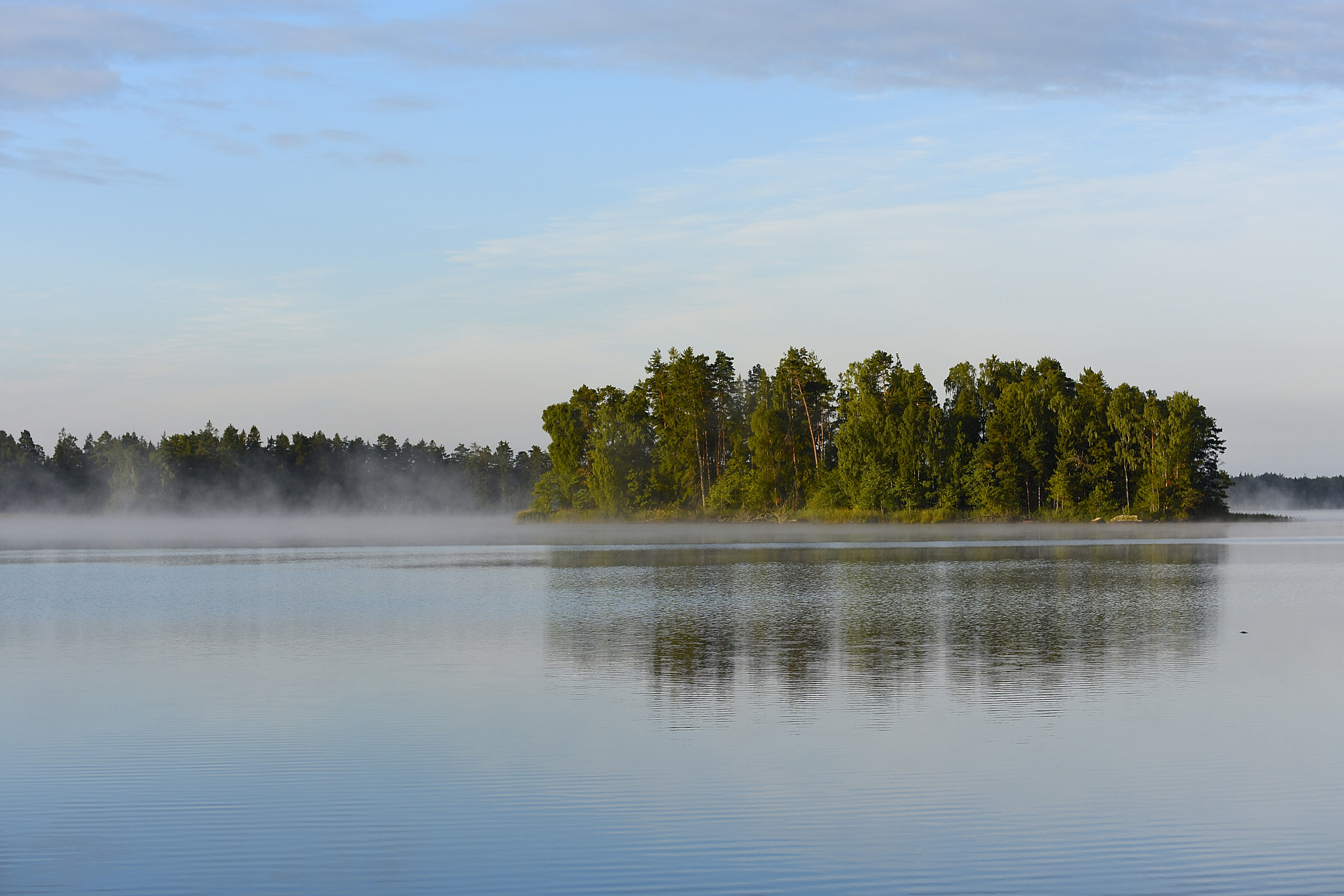Nikon D7200 + Sigma 50-100mm F1.8 DC HSM Art sample photo