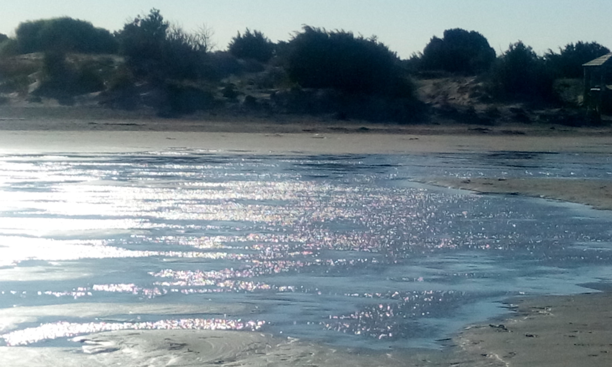 HTC DESIRE 816G DUAL SIM sample photo