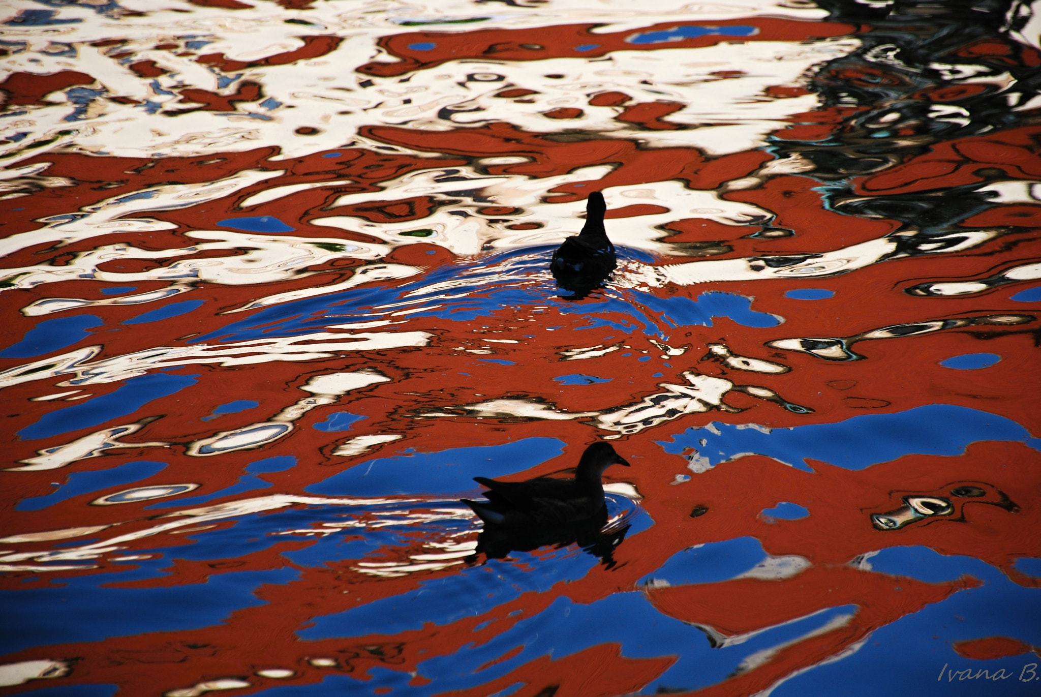 Nikon D40X sample photo. On the surface 1 photography
