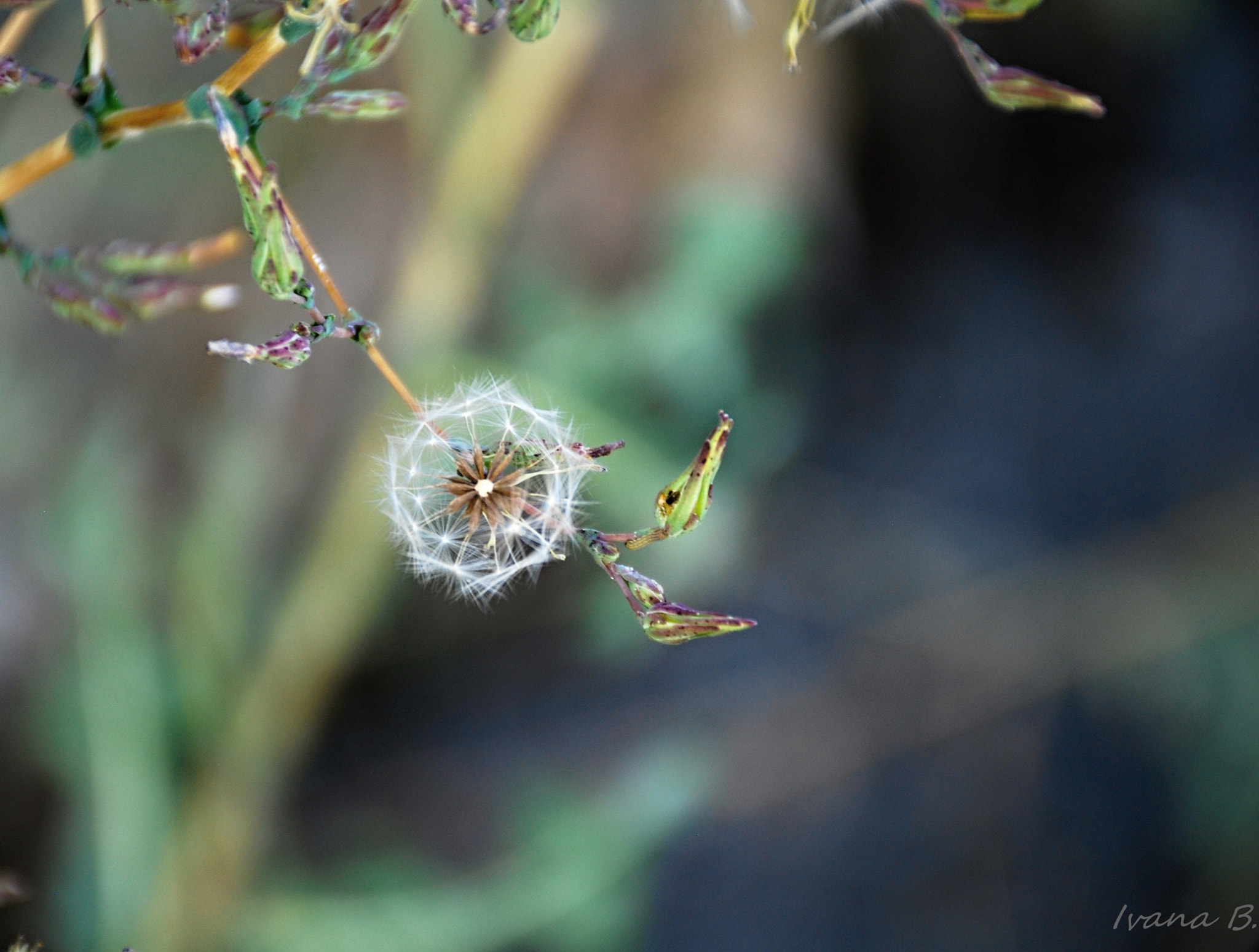 Nikon D40X sample photo. And autumn begins photography