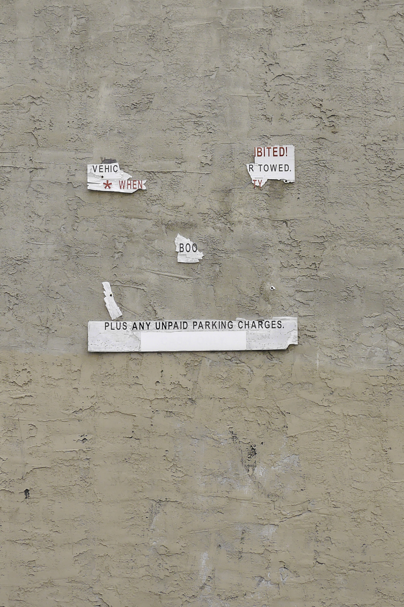 Panasonic Lumix DMC-GF6 sample photo. Face on wall photography