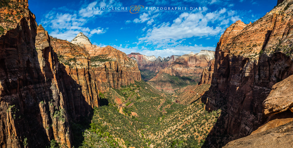 Canon EOS 5DS + Canon EF 24-70mm F2.8L USM sample photo. Canyon overlook, zion national park photography