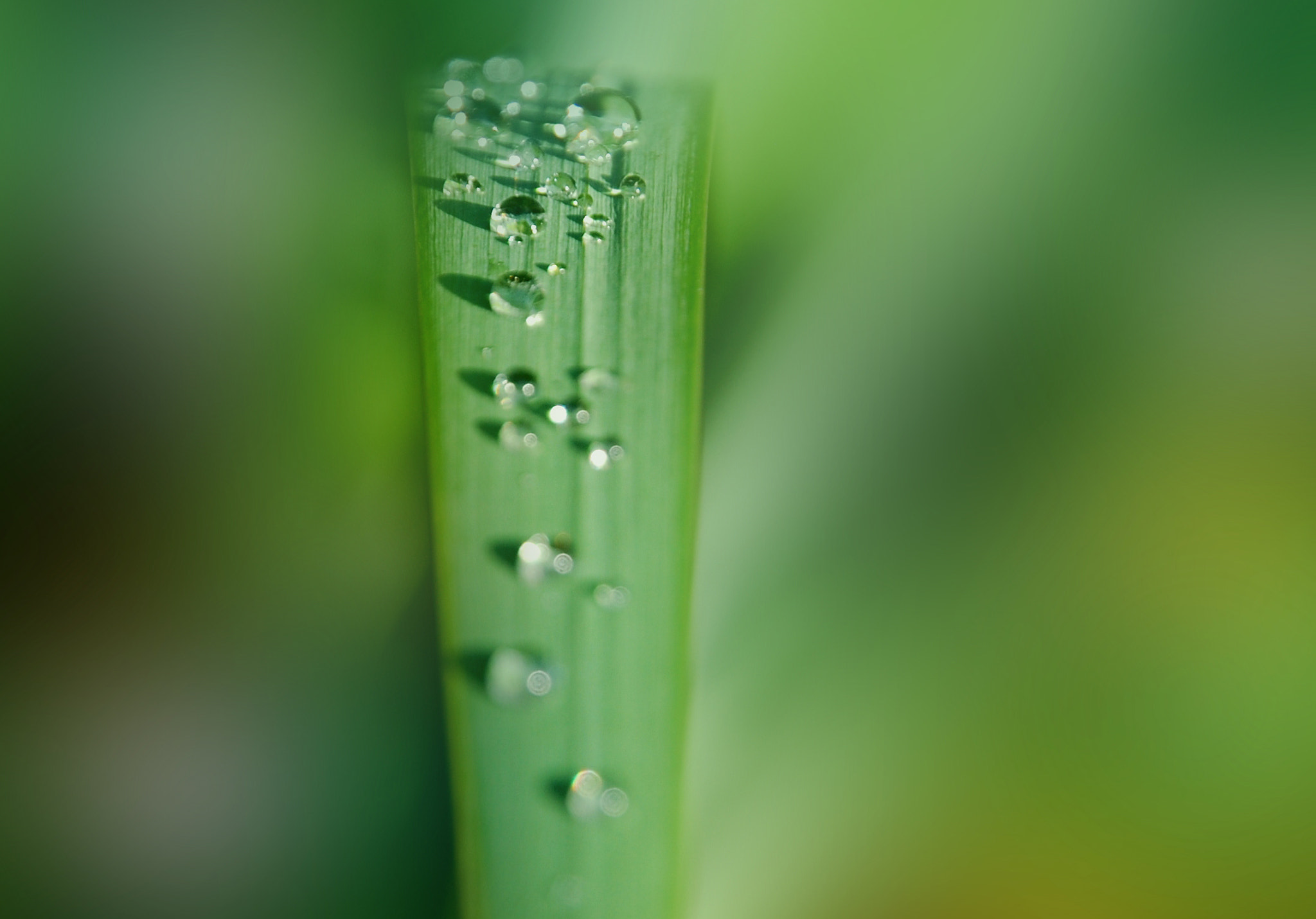 Nikon D60 sample photo. A flood in the making!!! photography