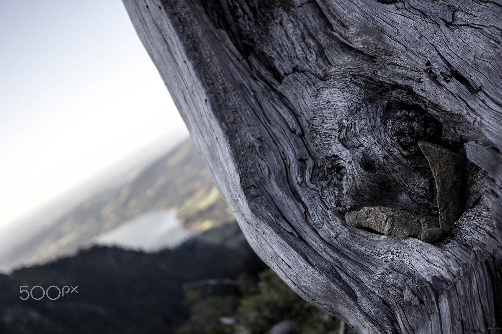 Canon EF 28mm F2.8 IS USM sample photo. Wooden guardian photography