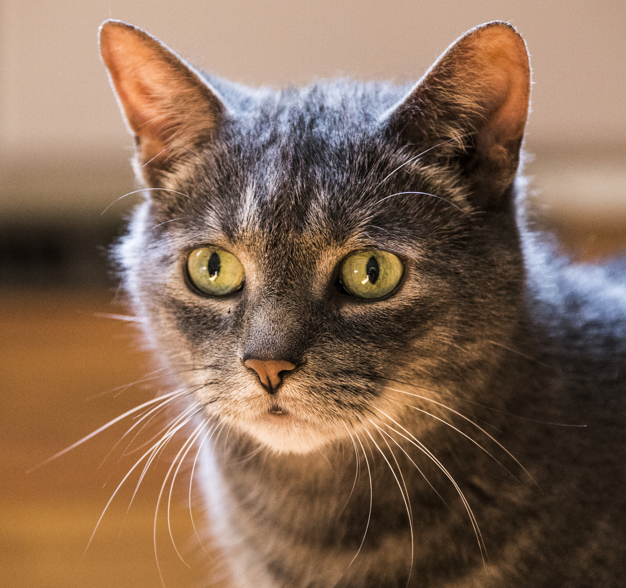 Canon EF 28-300mm F3.5-5.6L IS USM sample photo. A photography