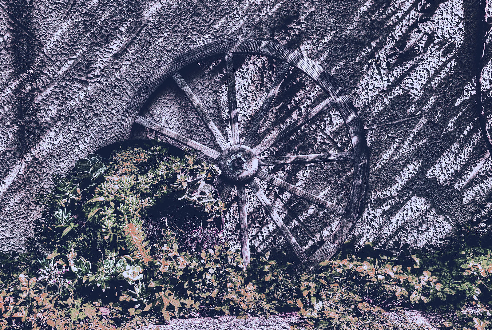 Nikon D200 sample photo. Wheel leaning against the wall photography