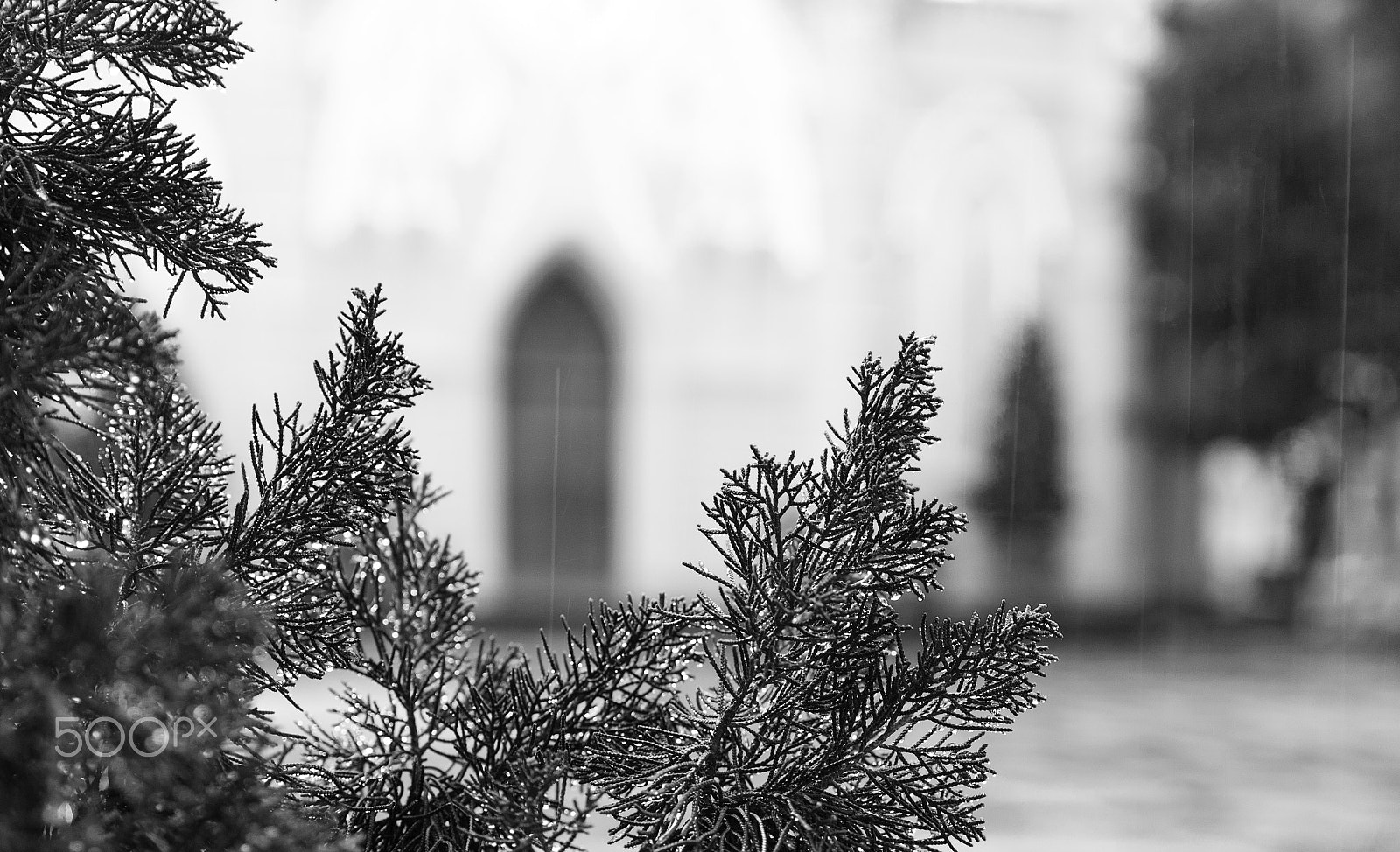 Canon 24.0-70.0 mm sample photo. Holy spirit rain down photography