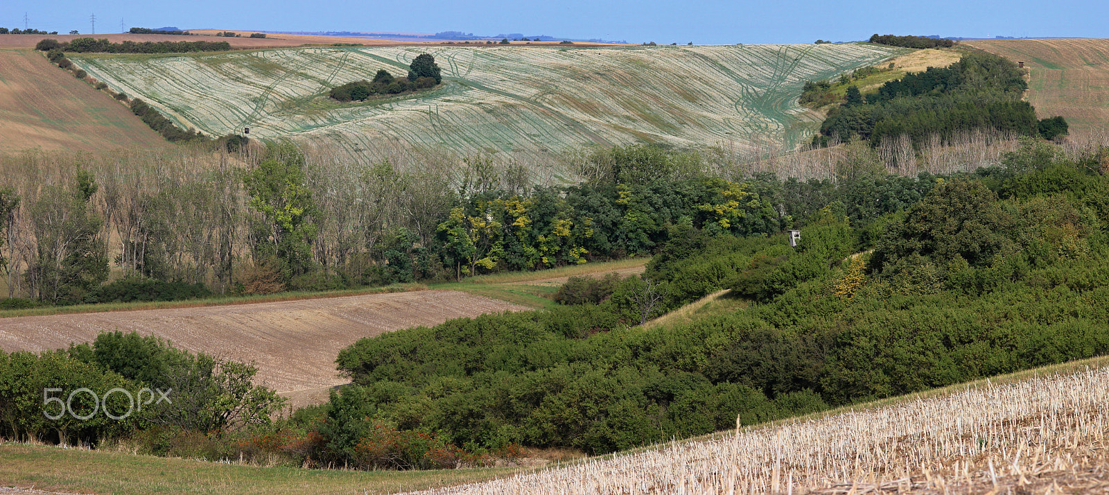 Sigma 105mm F2.8 EX DG Macro sample photo. Panorama photography