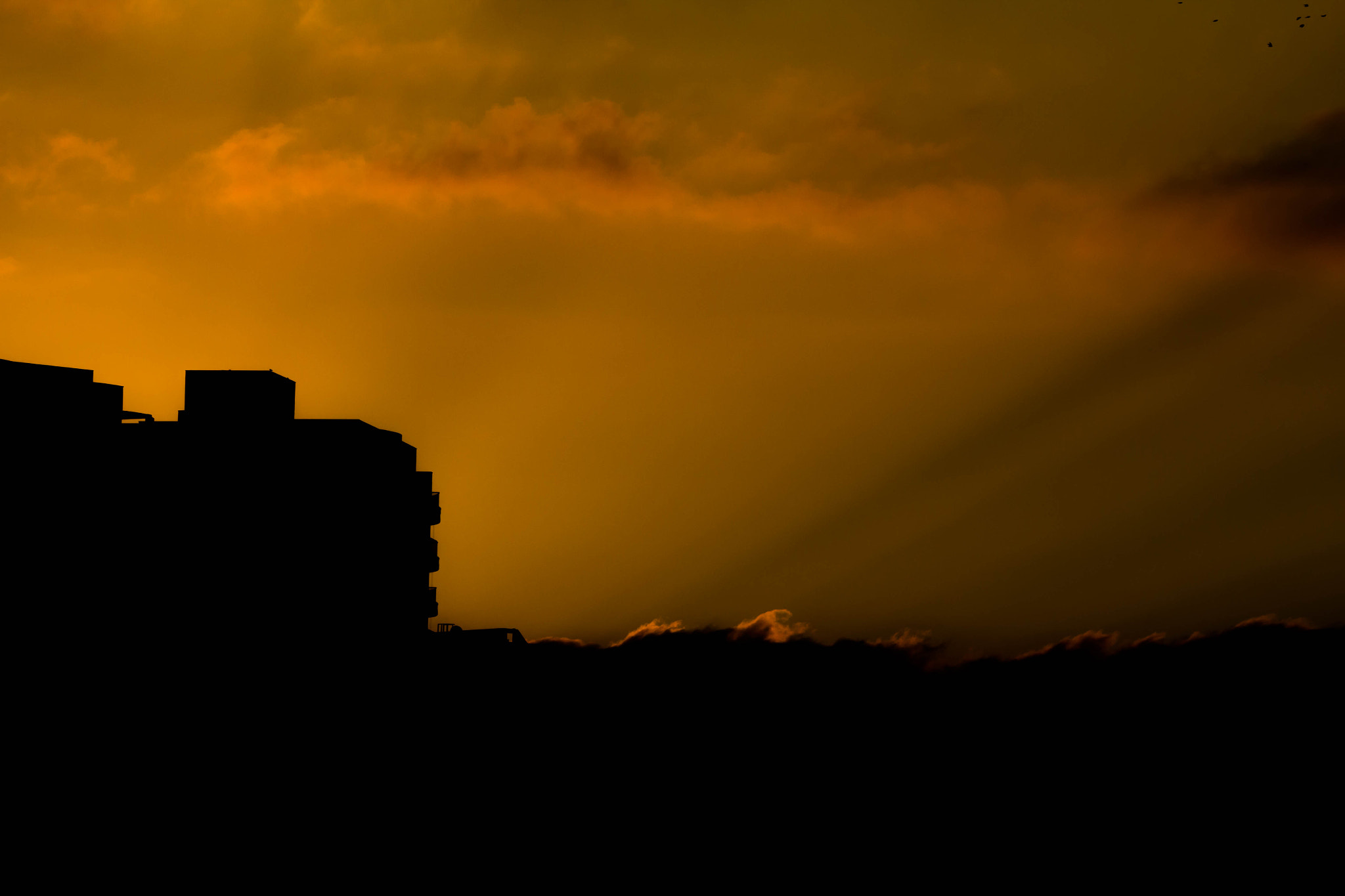 150-600mm F5-6.3 DG OS HSM | Contemporary 015 sample photo. City sunrise photography