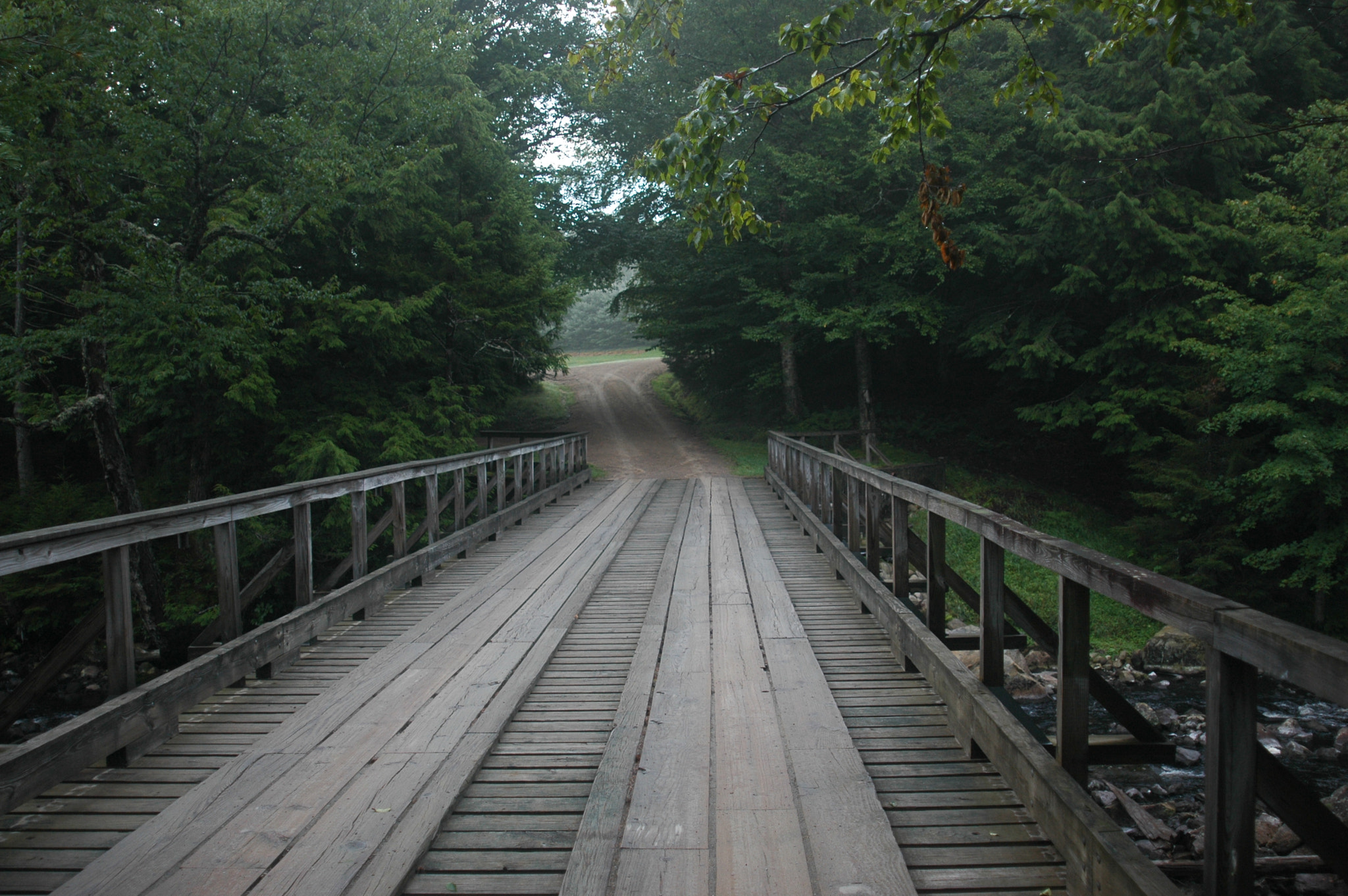 AF Zoom-Nikkor 24-120mm f/3.5-5.6D IF sample photo. Wooded bridge in rural area photography