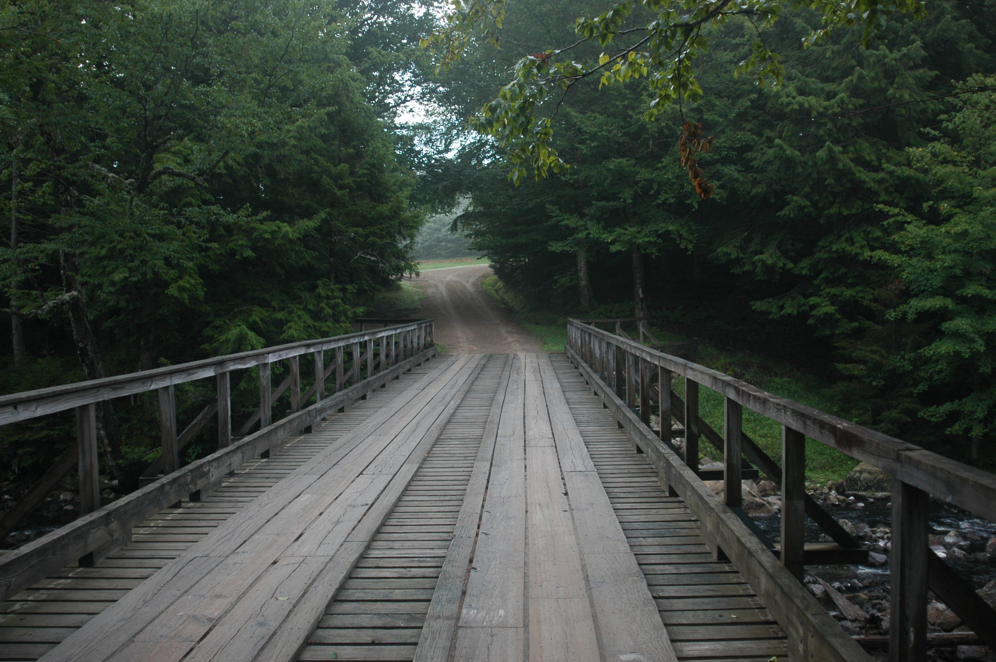 Nikon D70s + AF Zoom-Nikkor 24-120mm f/3.5-5.6D IF sample photo. Wooded bridge in rural area photography