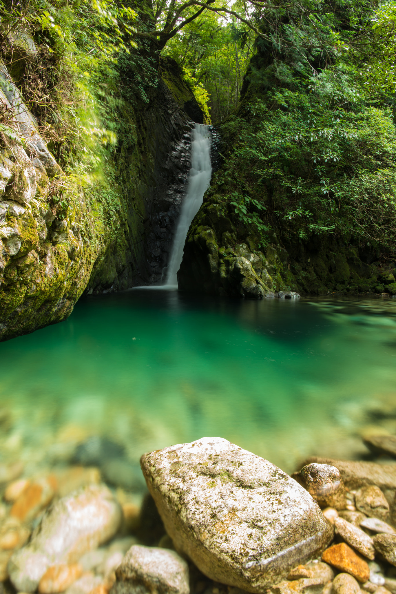 Nikon AF-S Nikkor 24-70mm F2.8E ED VR sample photo. Green fall 2 photography