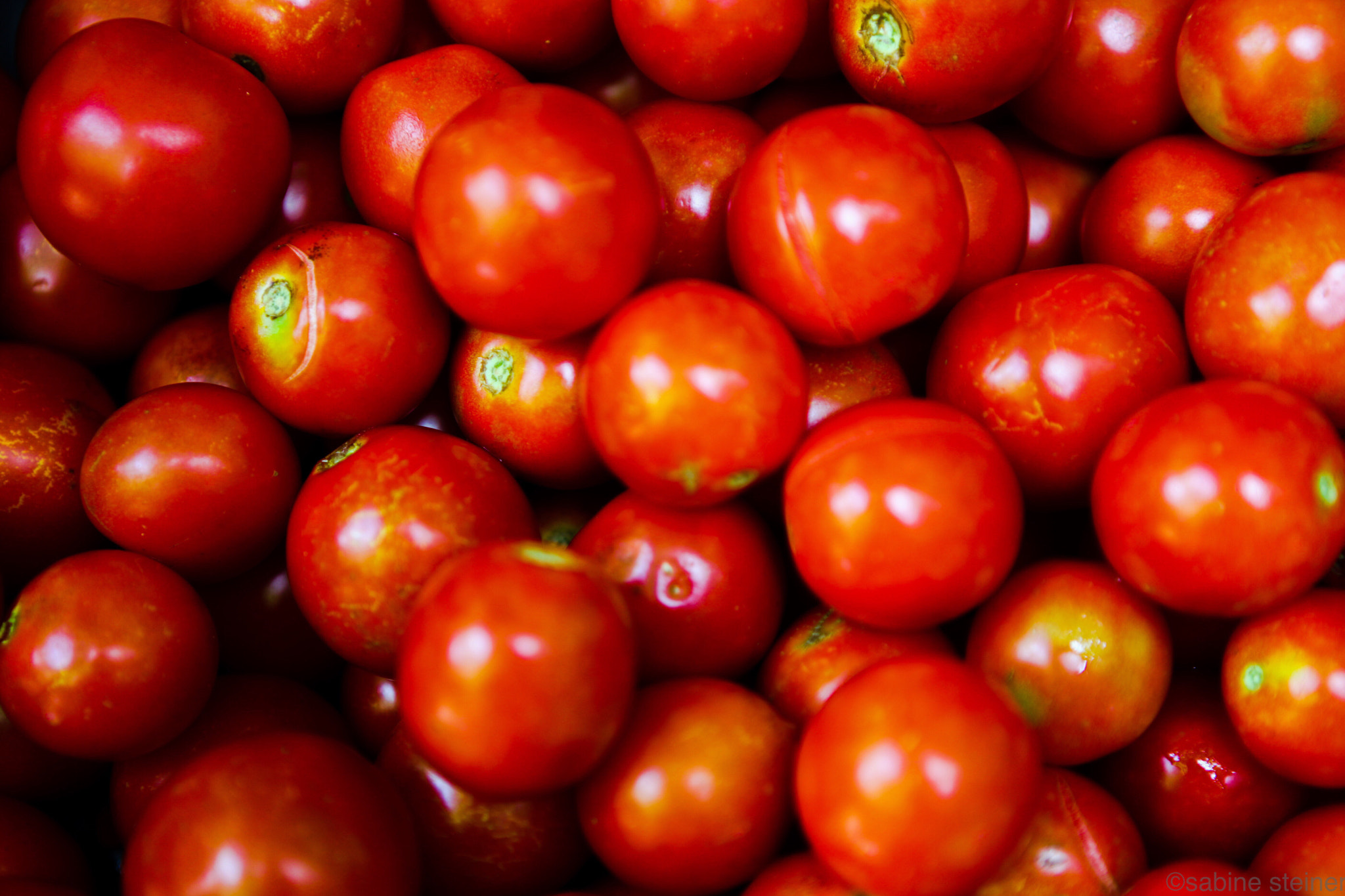 Canon EF 24-70mm F2.8L USM sample photo. Tomatoes photography