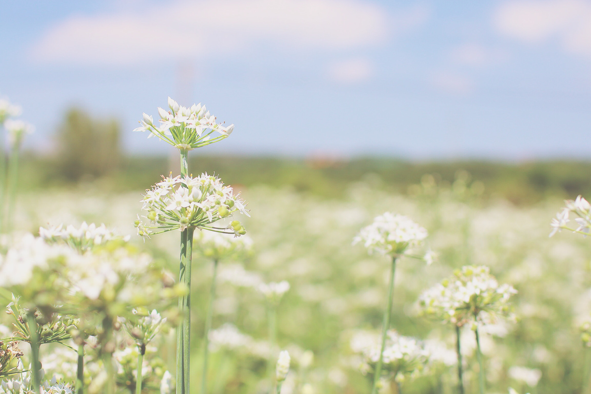 Canon EOS 70D + Canon EF 35mm F1.4L USM sample photo