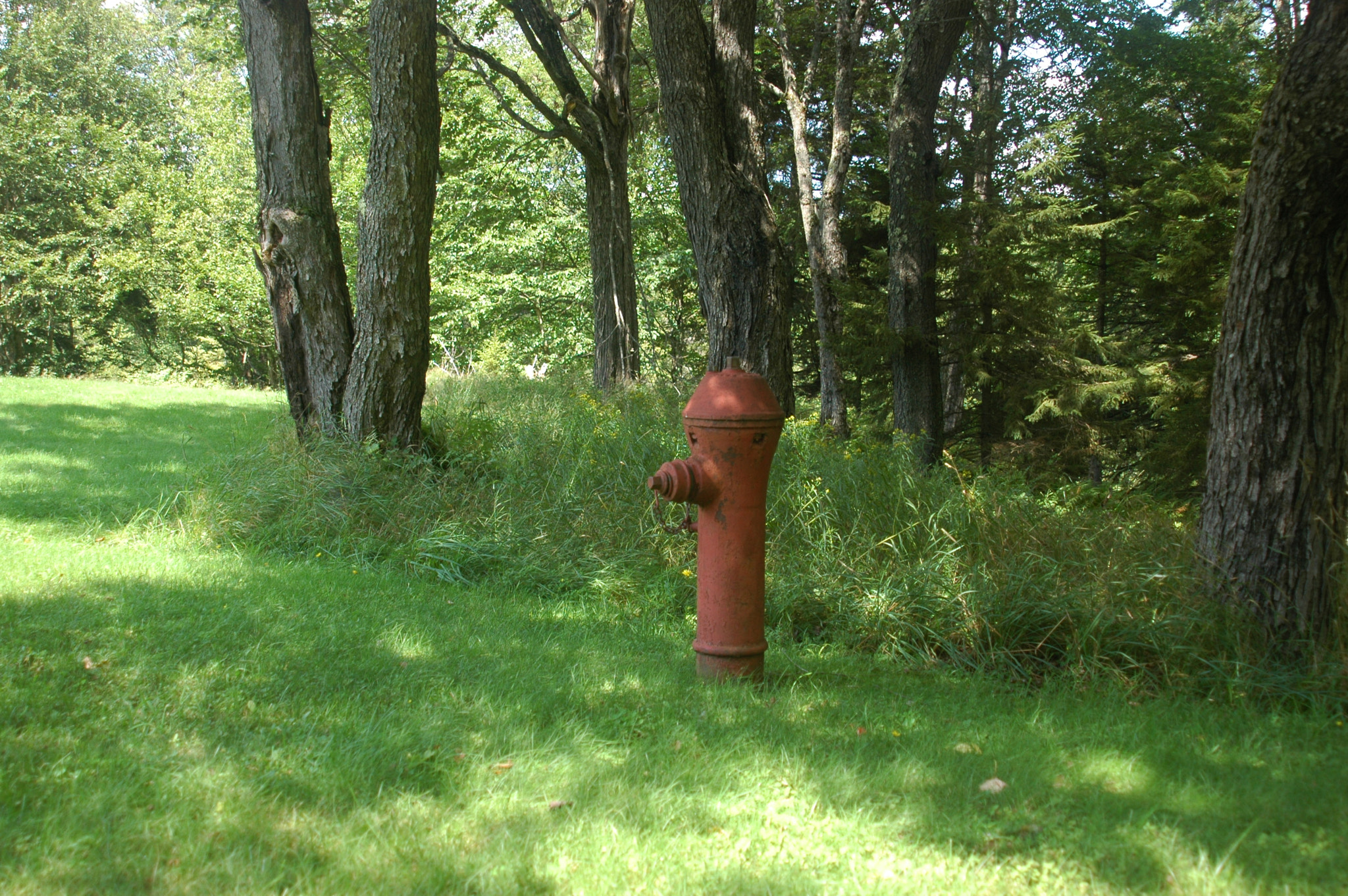 AF Zoom-Nikkor 24-120mm f/3.5-5.6D IF sample photo. An isolated firehydrant photography