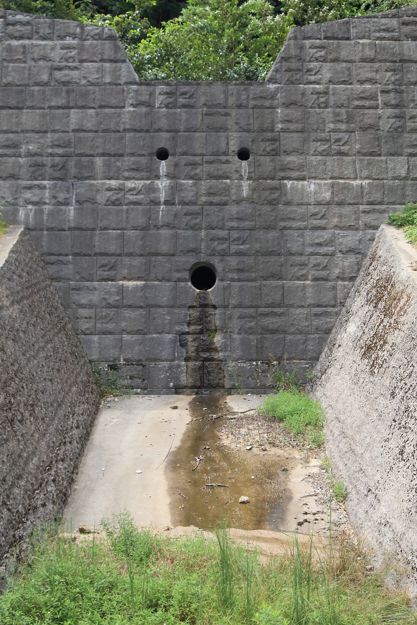 Canon EOS-1D Mark III sample photo. Weeping photography