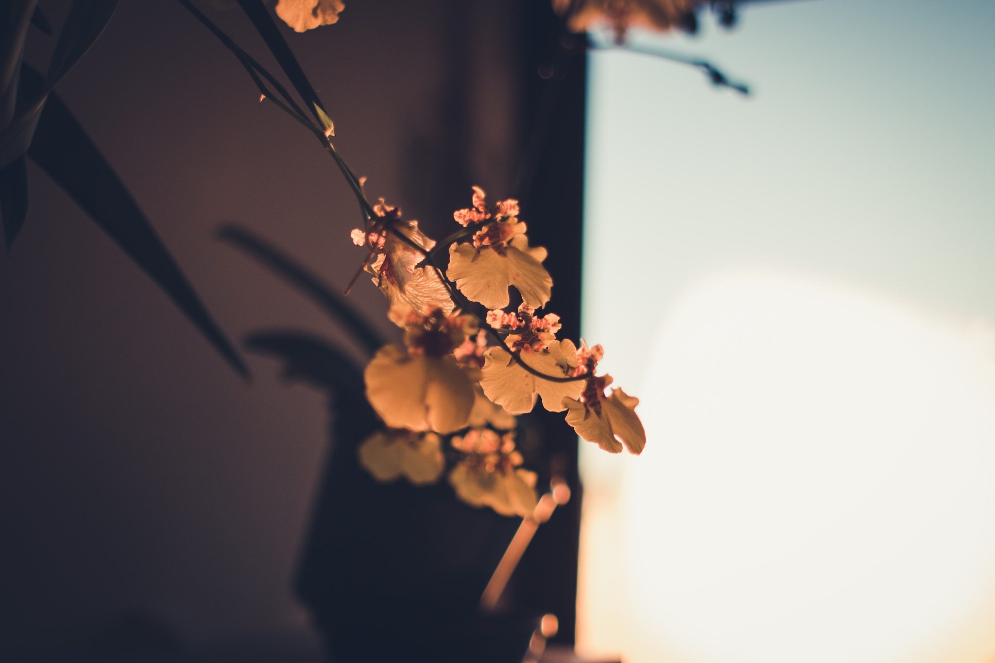 Canon EOS 70D + Canon EF 28mm F1.8 USM sample photo. 9363 photography