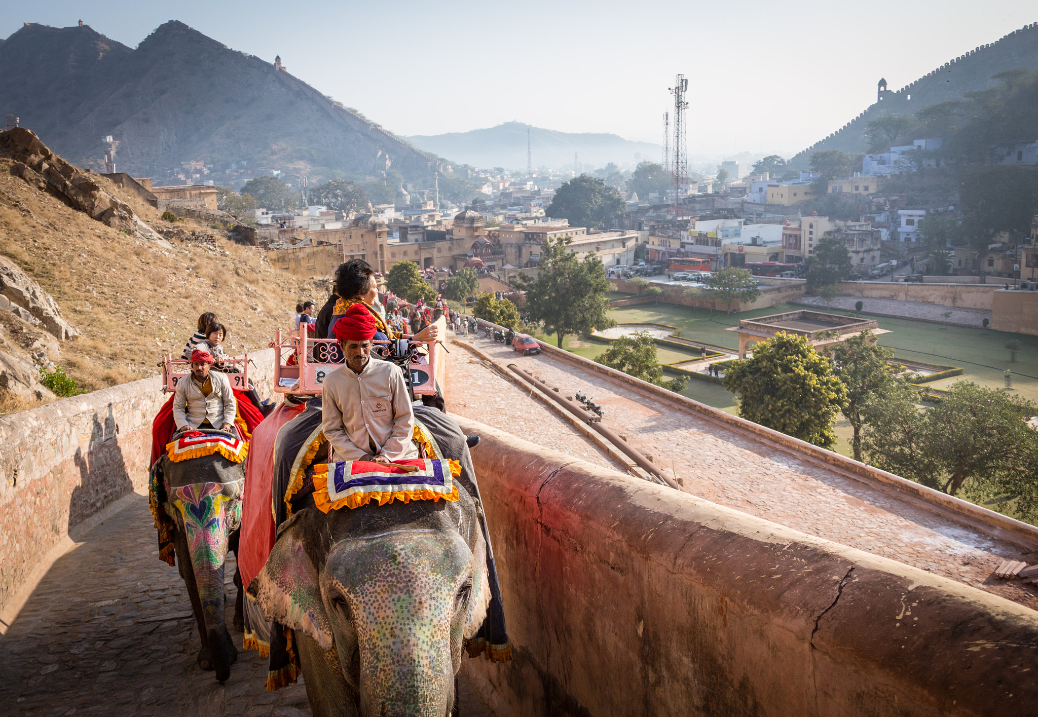 Canon EF 28-300mm F3.5-5.6L IS USM sample photo. Elephant to the top photography