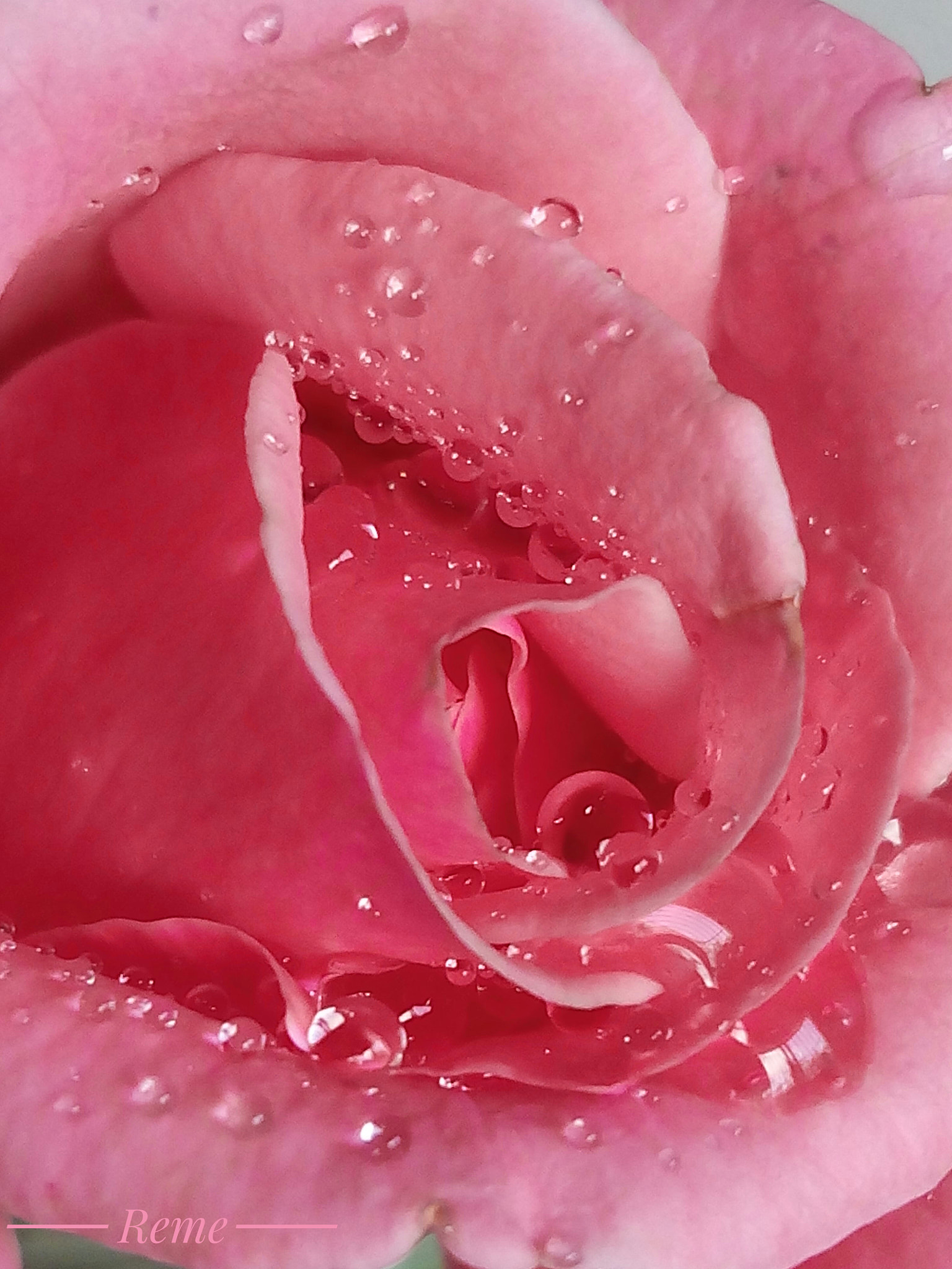 bq Aquaris E5 HD sample photo. La belleza photography