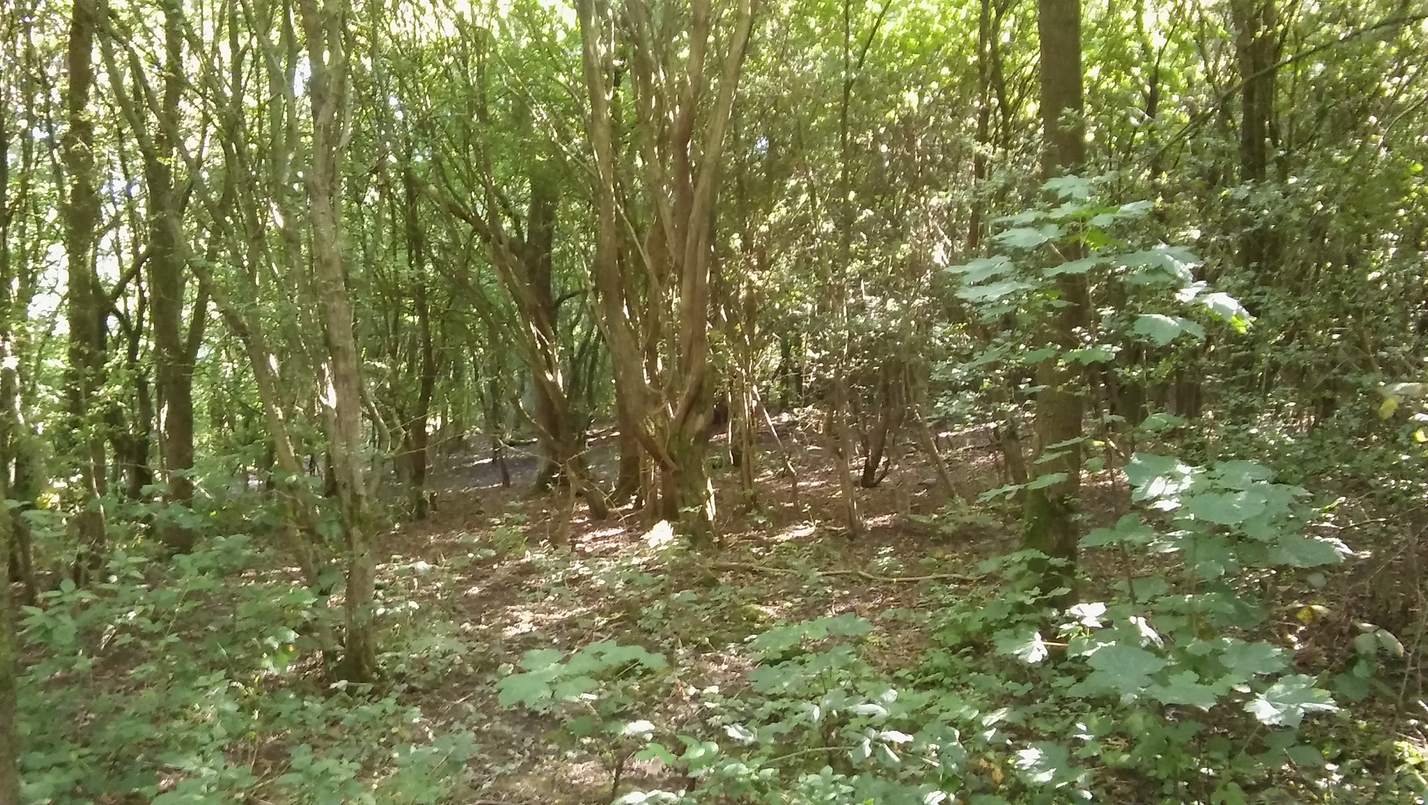 LG SPIRIT 4G LTE sample photo. Lost. photography