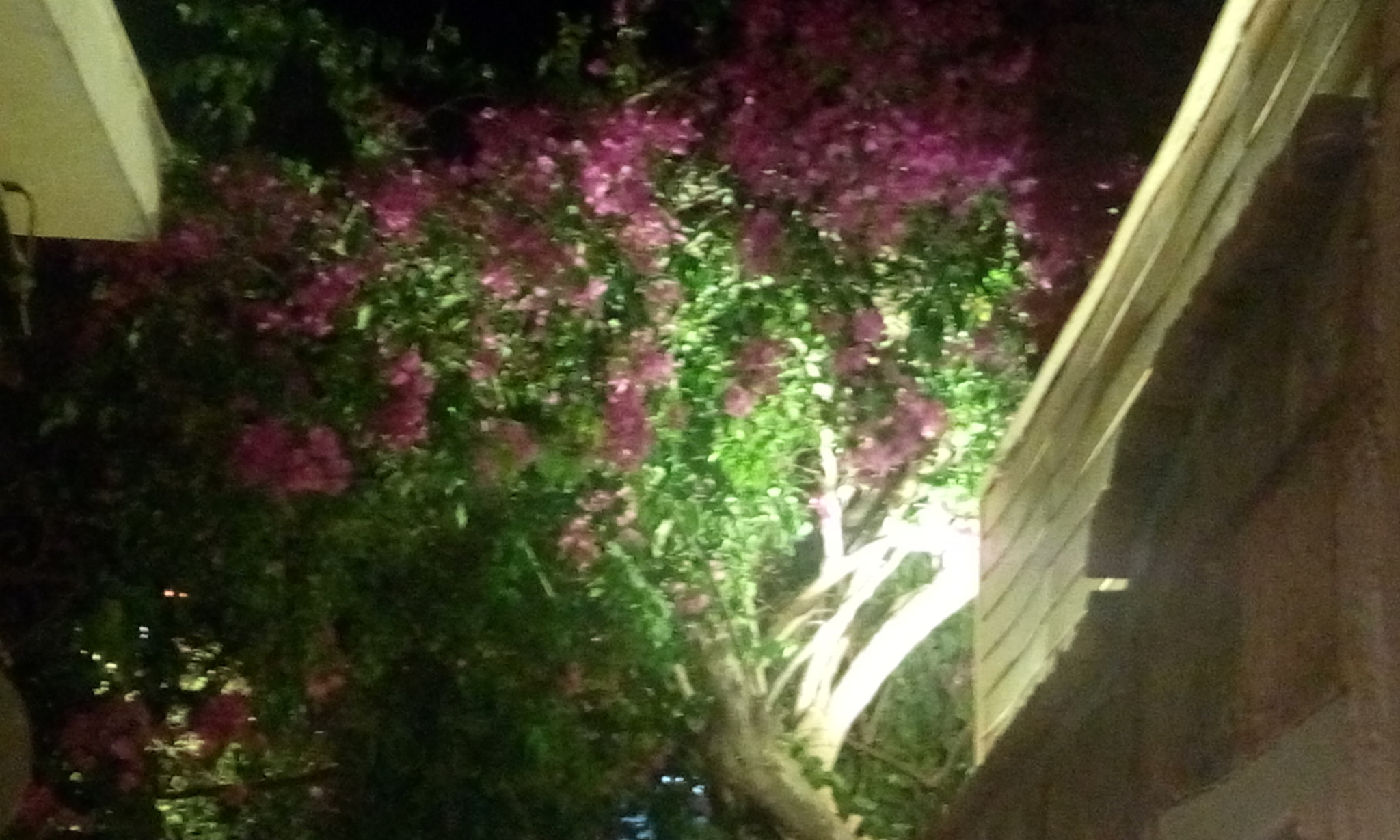 HTC DESIRE 816G DUAL SIM sample photo. Over the street photography