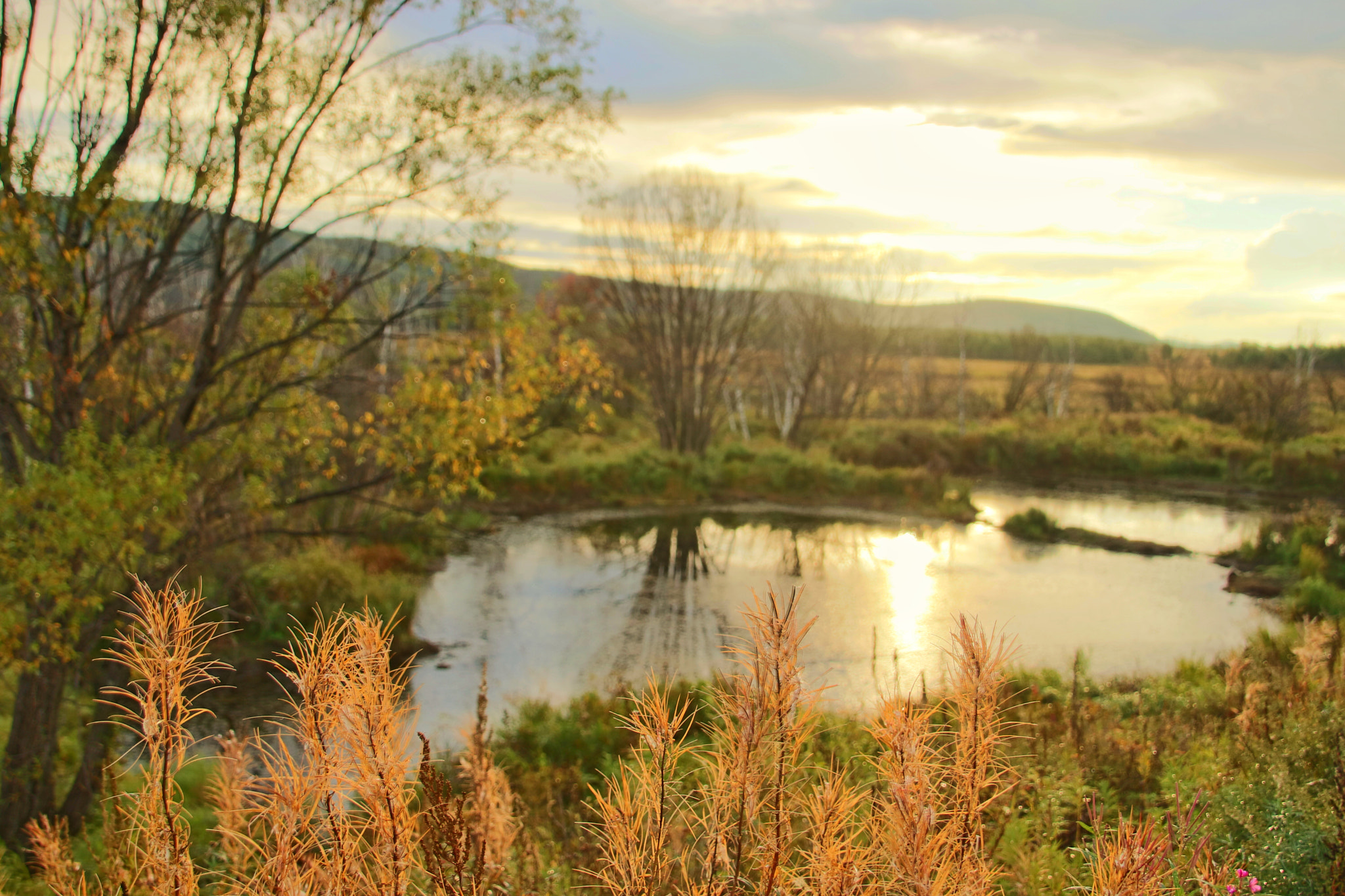 Canon 18-270mm sample photo. Prairie sunset photography