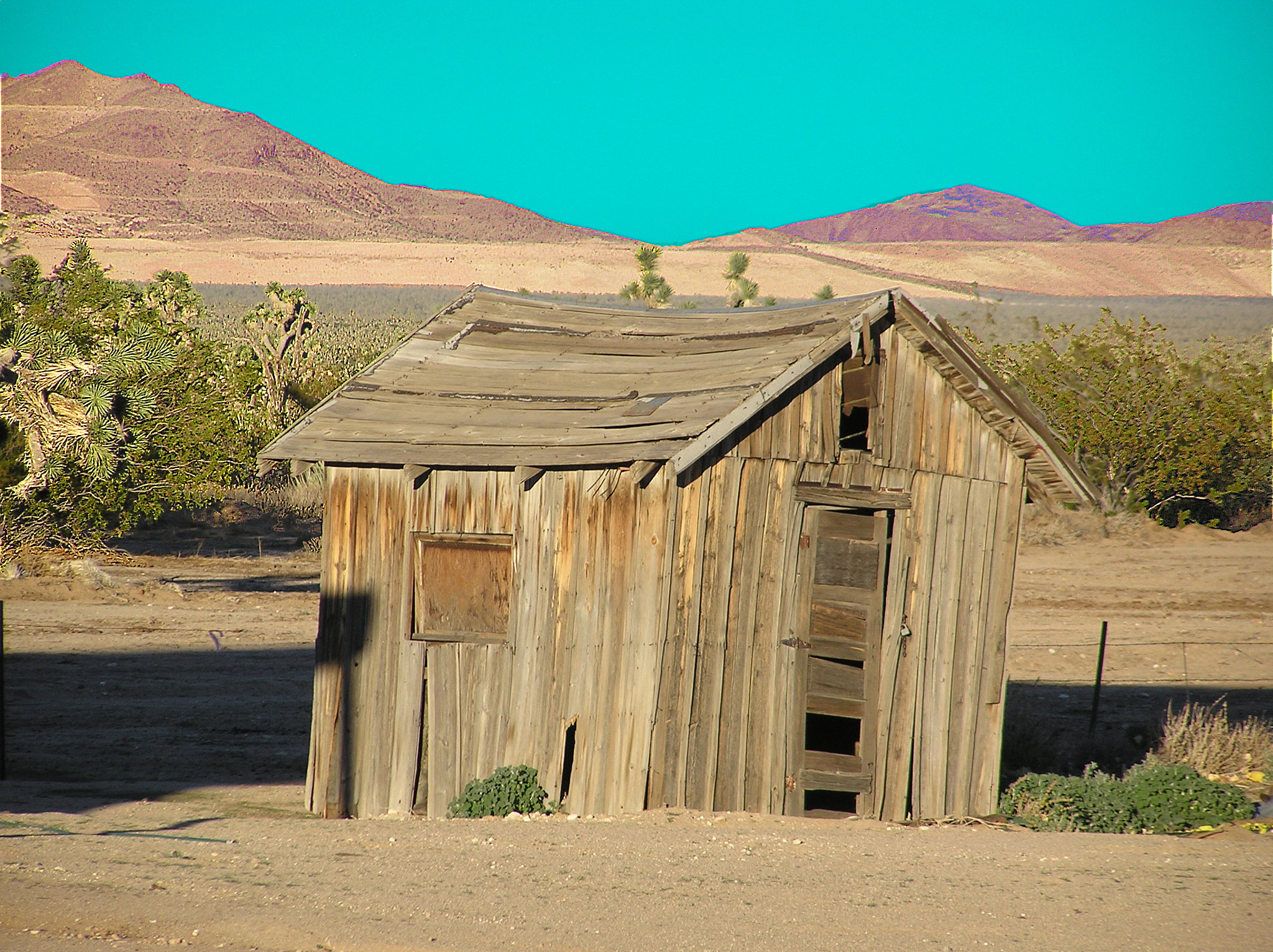 Olympus C750UZ sample photo. Ox ranch photography