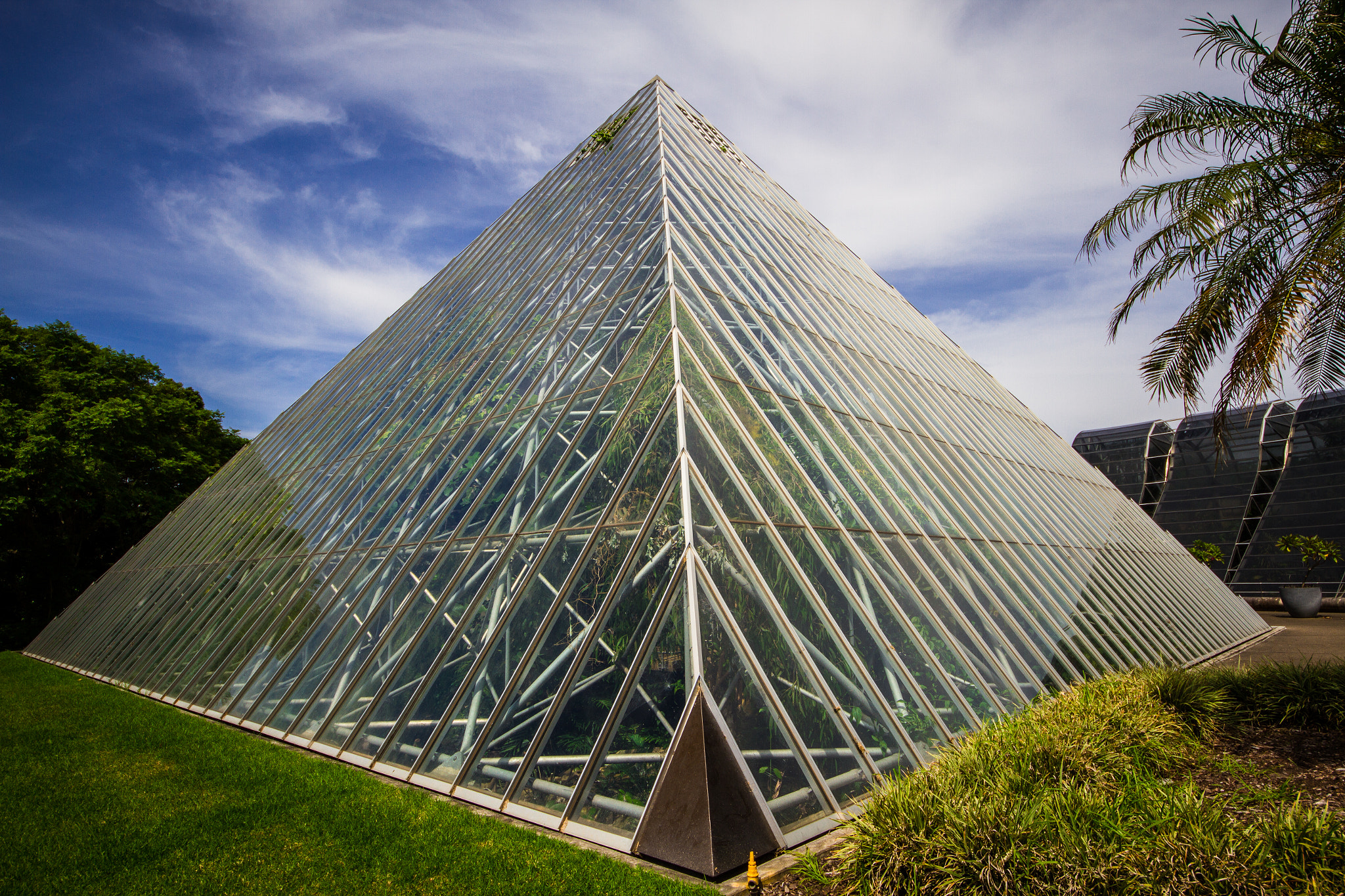 Sigma 8-16mm F4.5-5.6 DC HSM sample photo. Botanical gardens photography
