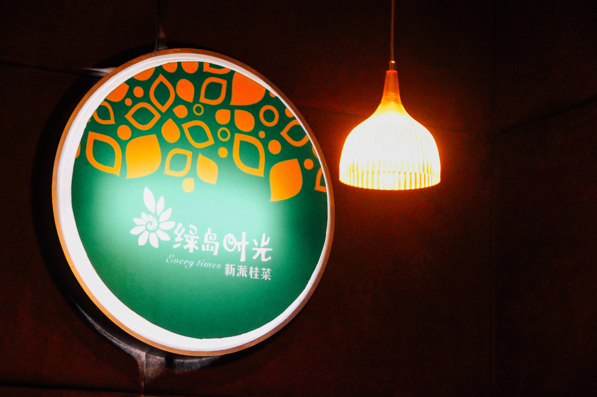 Canon EOS 500D (EOS Rebel T1i / EOS Kiss X3) sample photo. Nanning traveling photography