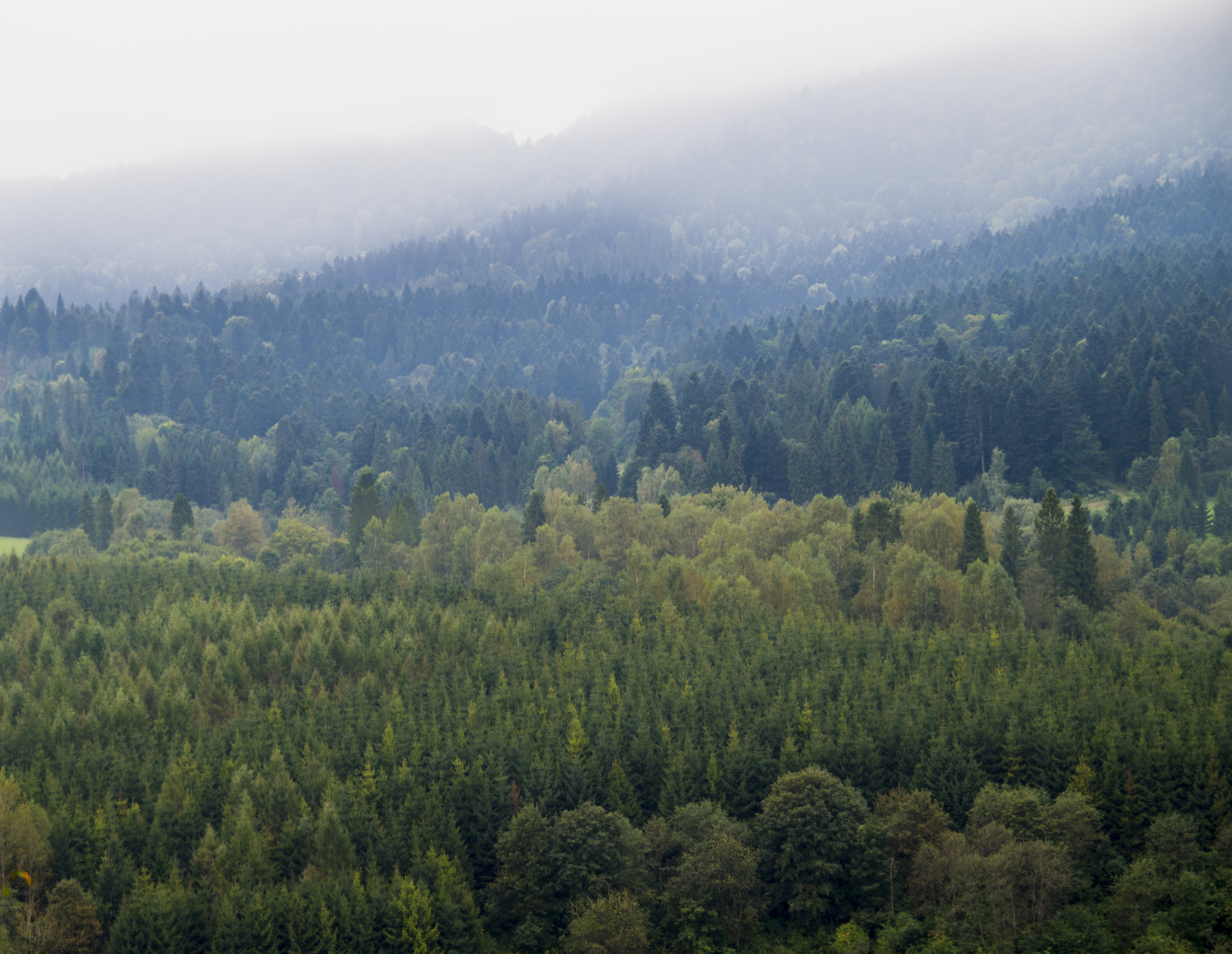 Sigma 17-50mm F2.8 EX DC HSM sample photo. Bieszczady  photography