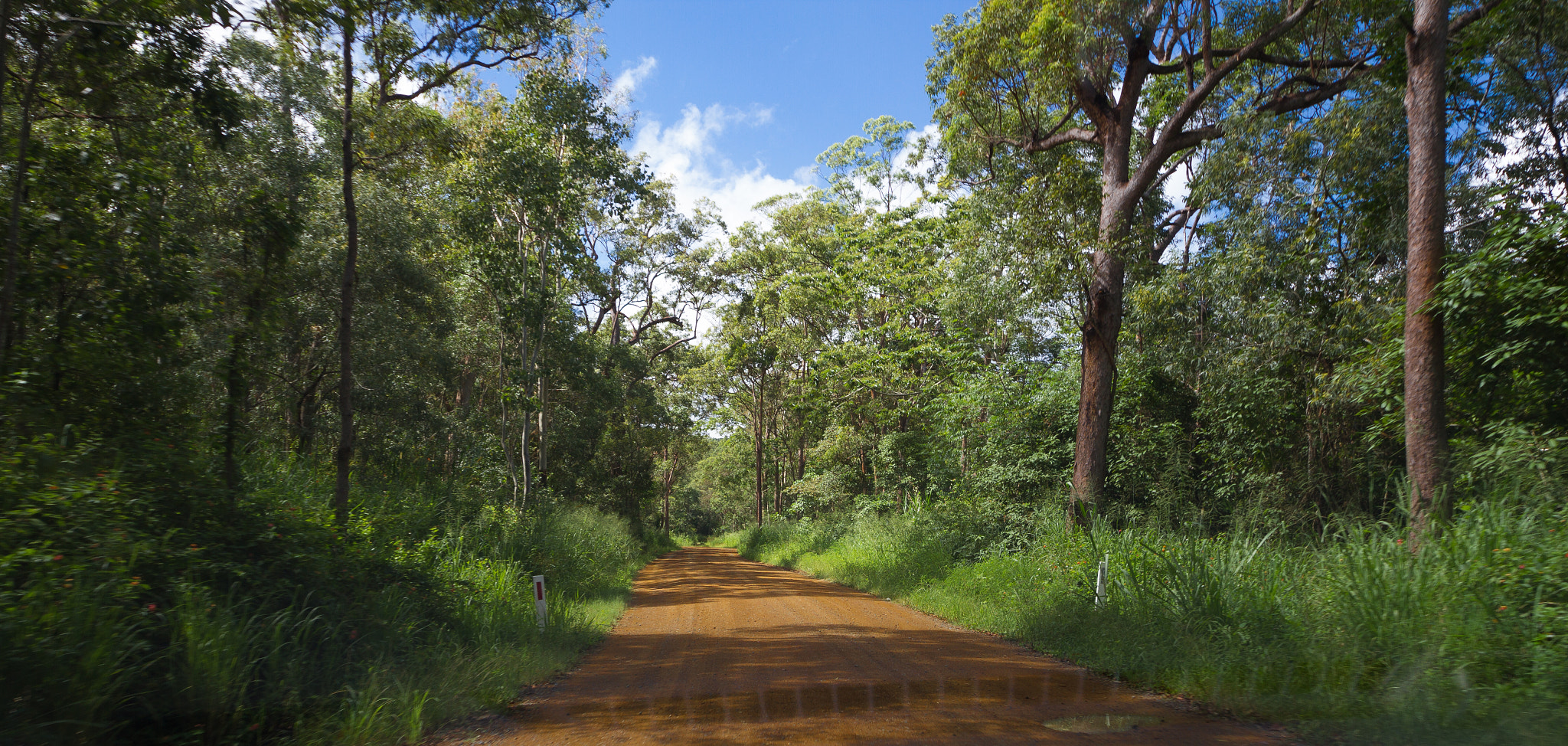 Sigma 8-16mm F4.5-5.6 DC HSM sample photo. Dirt road photography