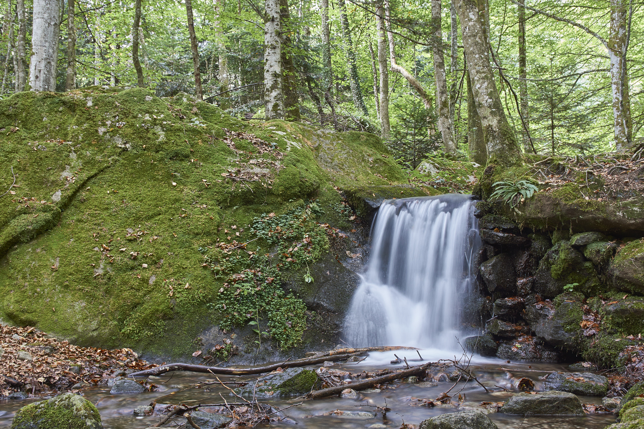 Sony SLT-A77 sample photo. Little waterfall_01 photography