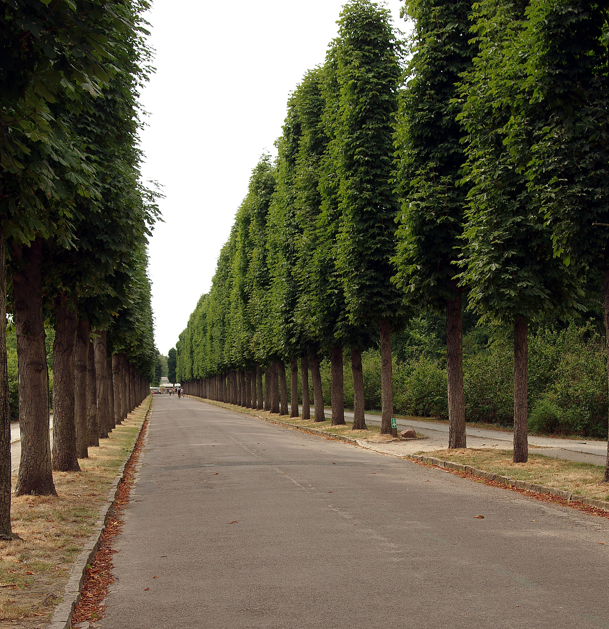 Tamron AF 28-75mm F2.8 XR Di LD Aspherical (IF) sample photo. Potsdam, sanssouci vii photography