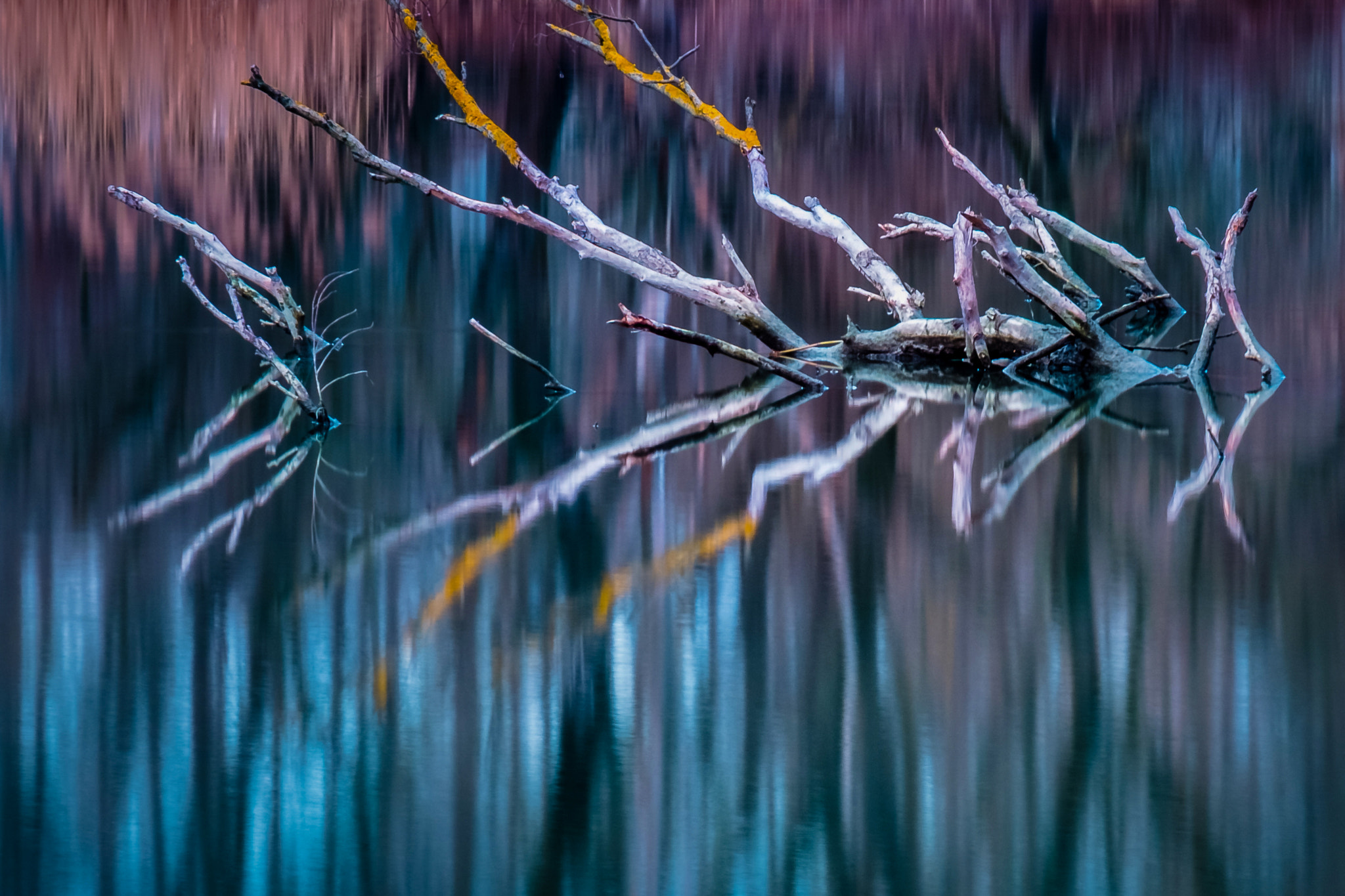 Fujifilm X-E1 + Fujifilm XF 55-200mm F3.5-4.8 R LM OIS sample photo. Reflection, reedited version photography