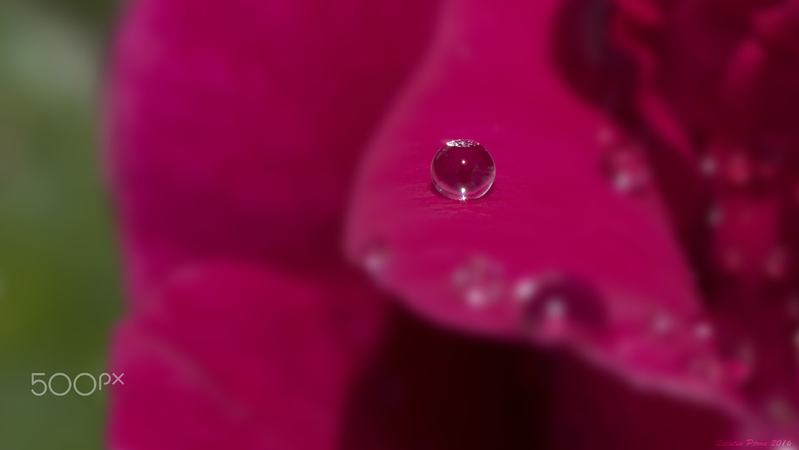 Nikon AF-S Micro-Nikkor 105mm F2.8G IF-ED VR sample photo. La goutte d'eau photography