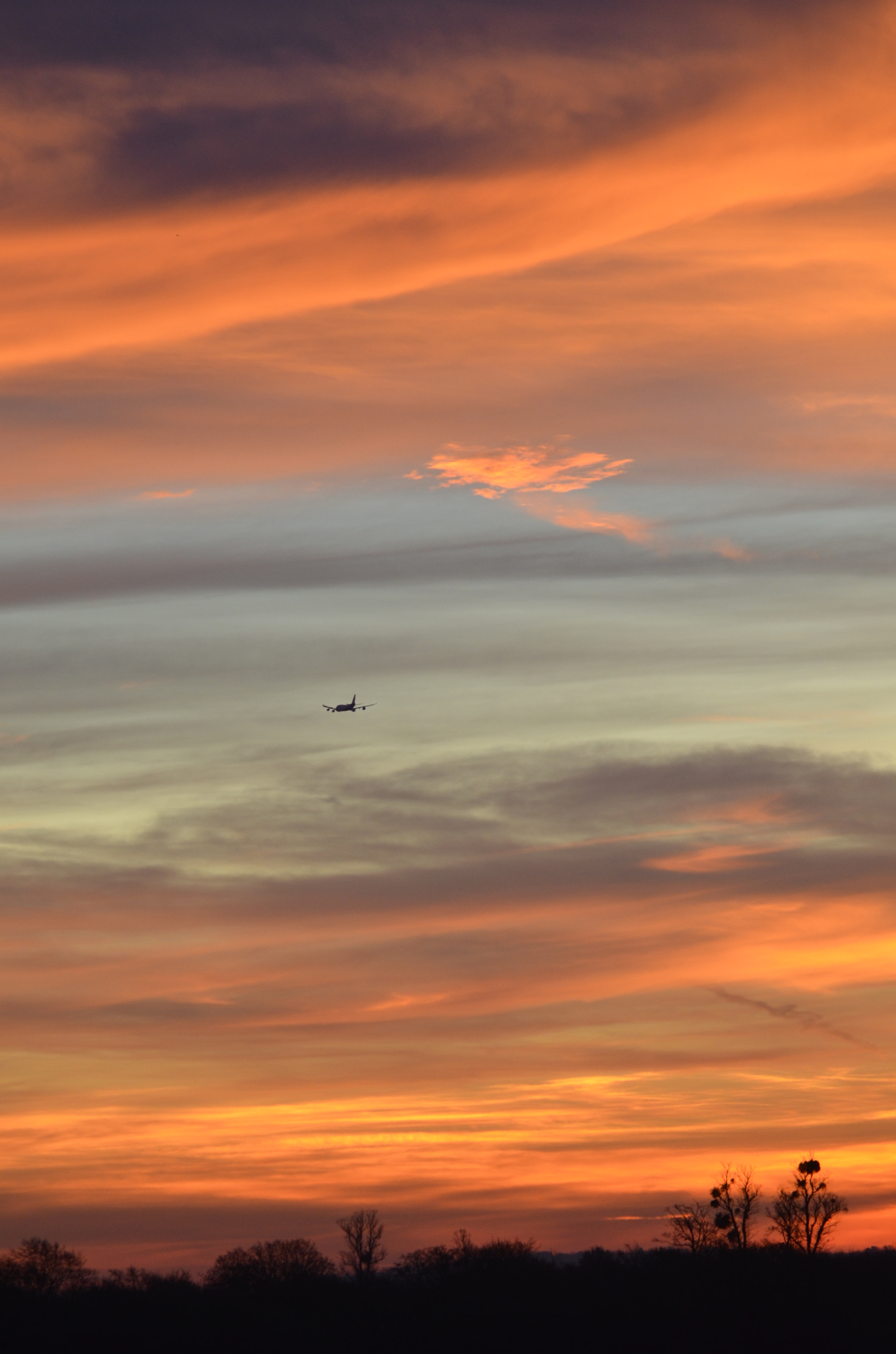 Sigma 150-500mm F5-6.3 DG OS HSM sample photo. Journey to new horizons  photography
