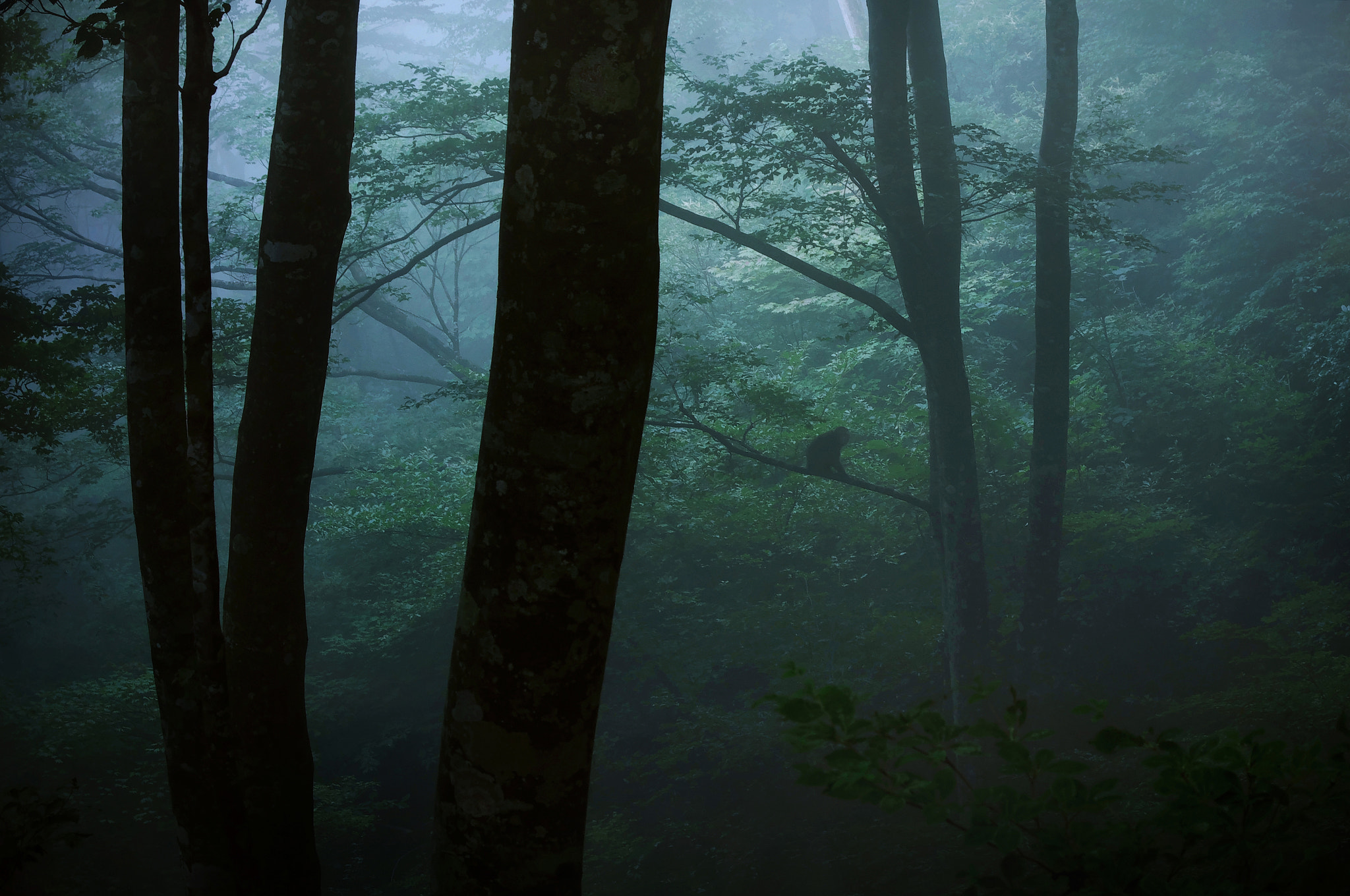 Pentax K-3 sample photo. Mt.yokoyamadake / shiga prefecture photography
