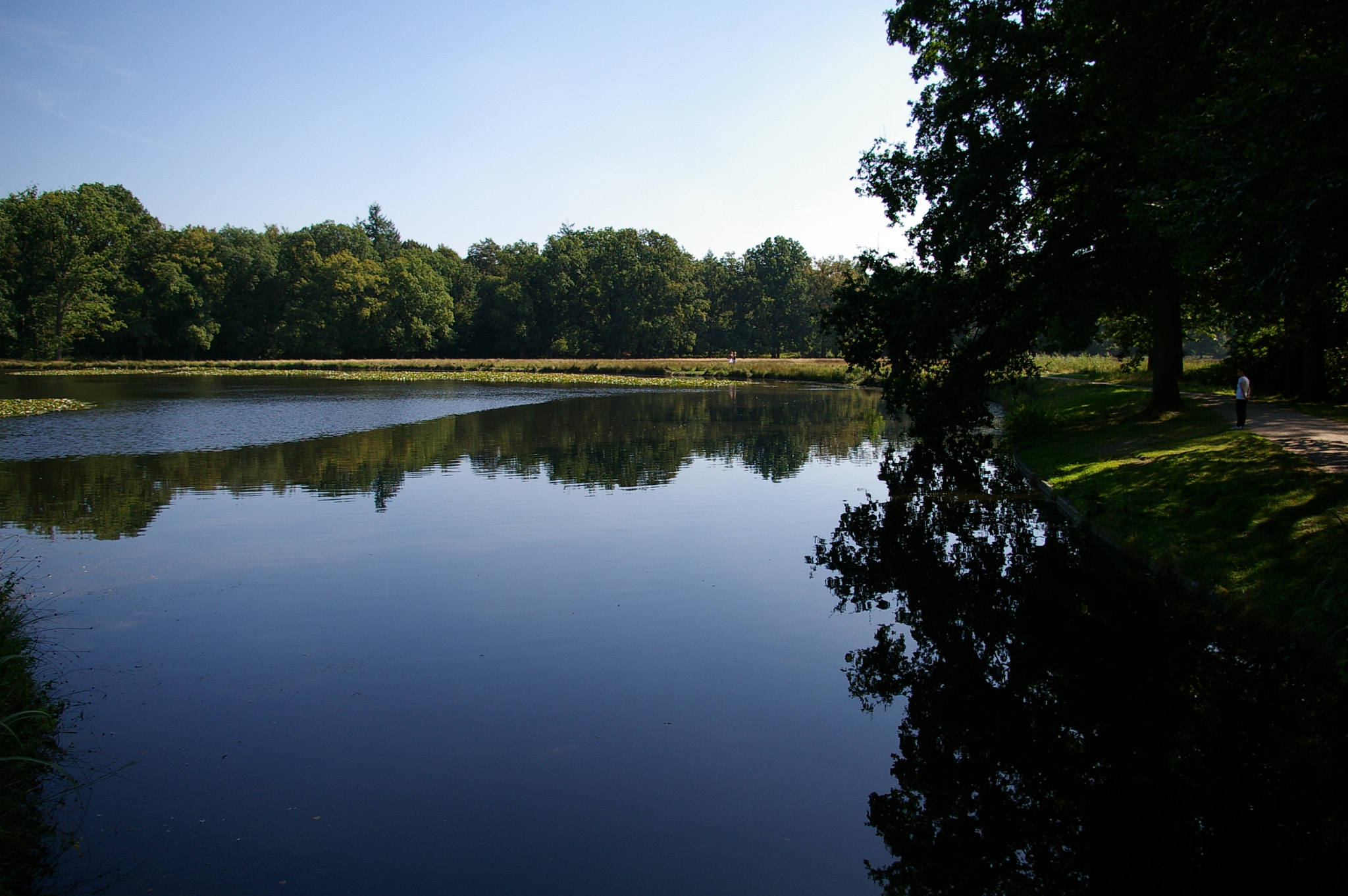 Pentax *ist DL sample photo. Veluwe - iv photography